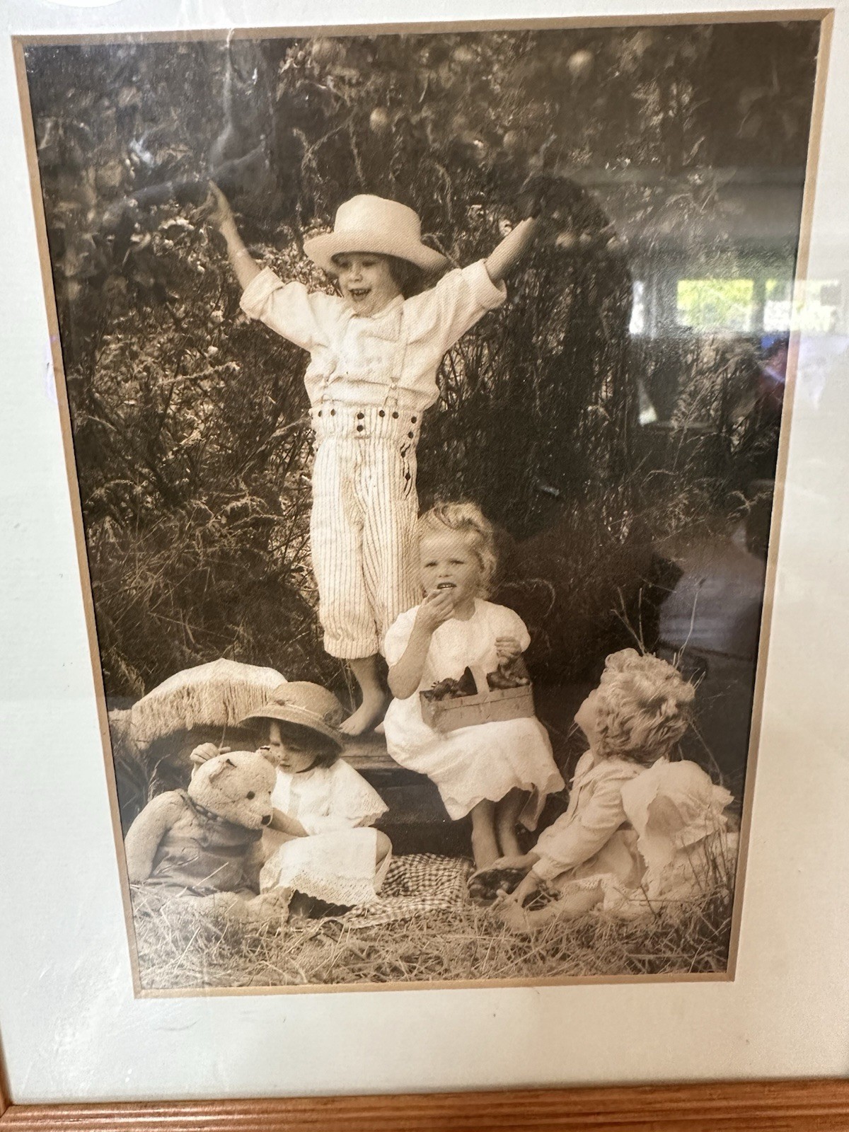 VINTAGE FRAMED Artist Photo Iain McKell FRUITS OF SUMMER 1980’S