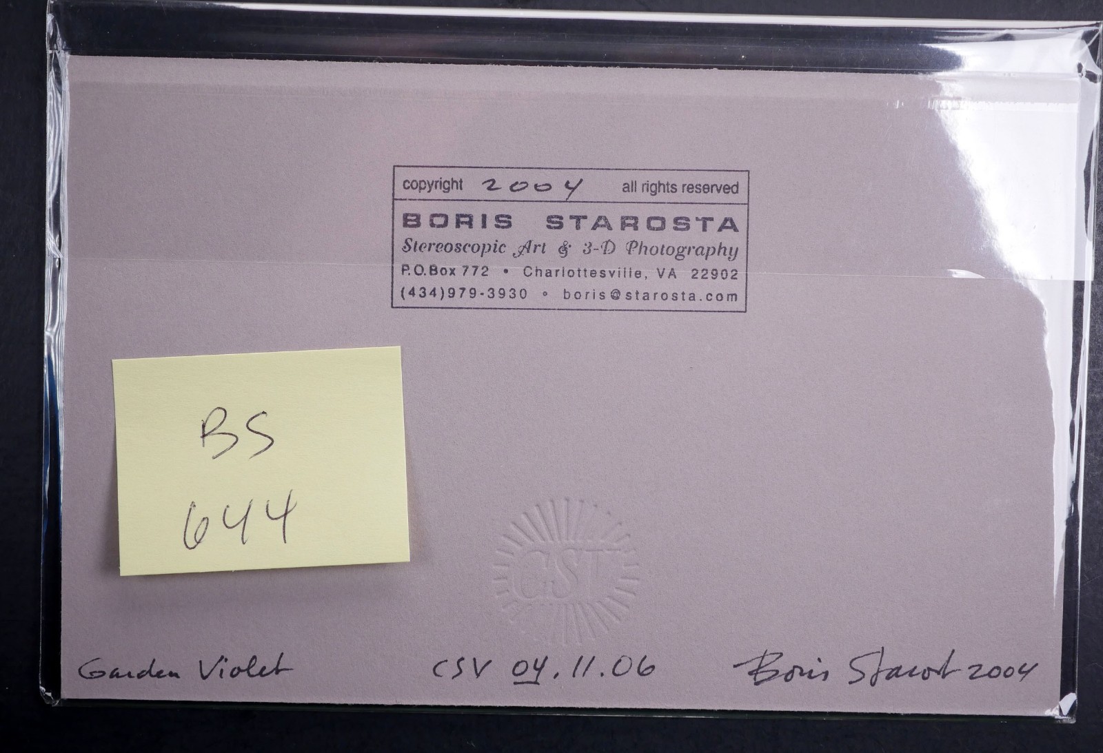 Boris Starosta 3D Stereoview – CREATIVE Garden Violet Signed 2004