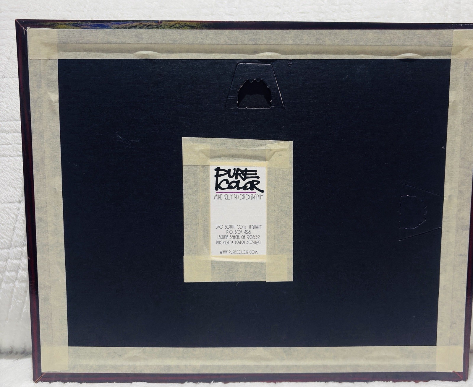 Mike Kelly Framed Limited Edition Photograph Polar Bears in Snow Signed 16/1200