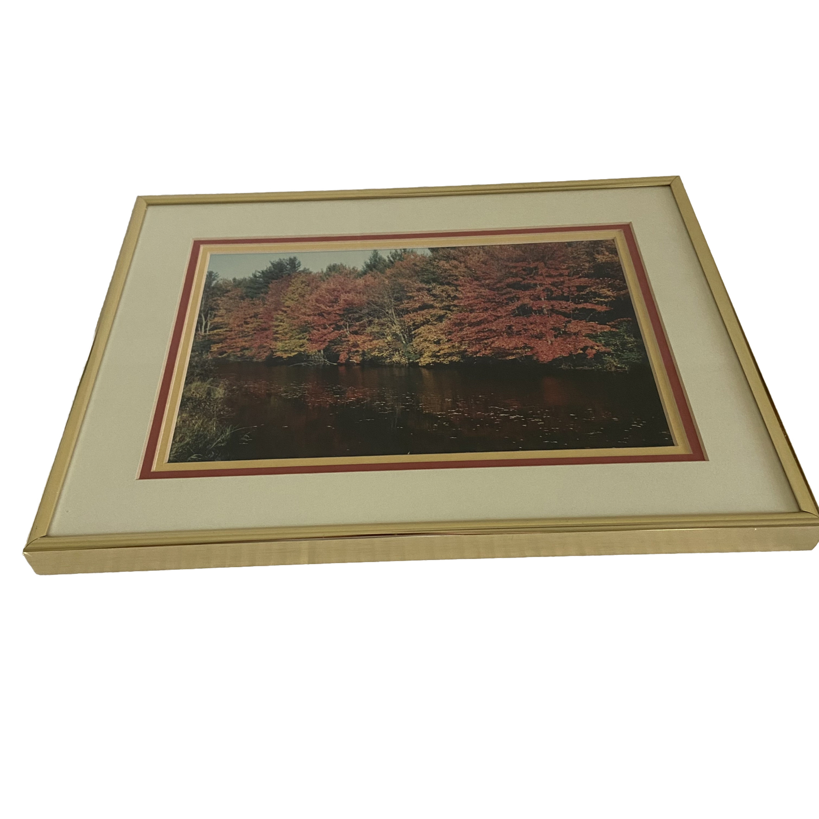 Art Photography Photo Autumn Picture Lake Matted Framed Fall Leaves