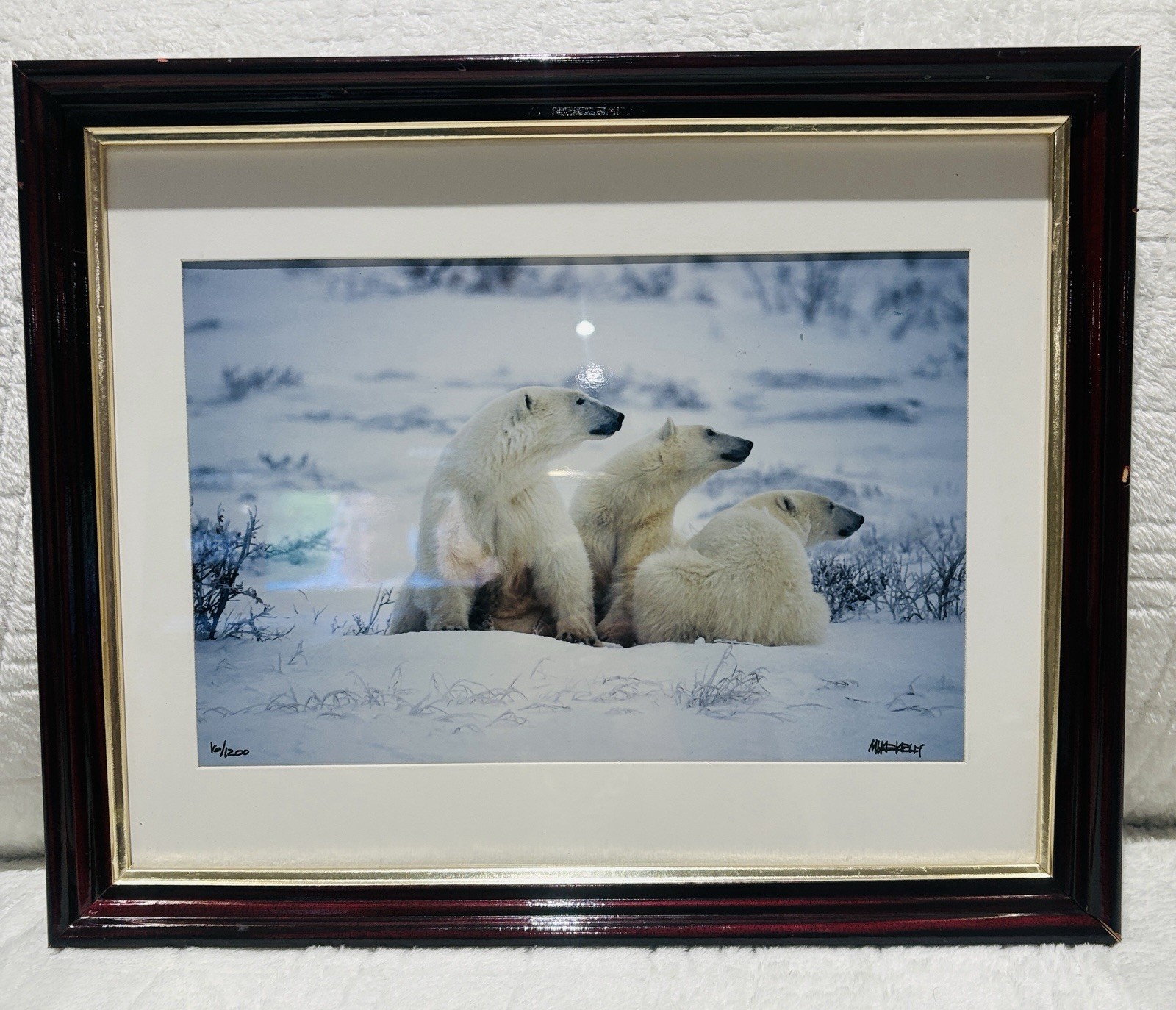 Mike Kelly Framed Limited Edition Photograph Polar Bears in Snow Signed 16/1200