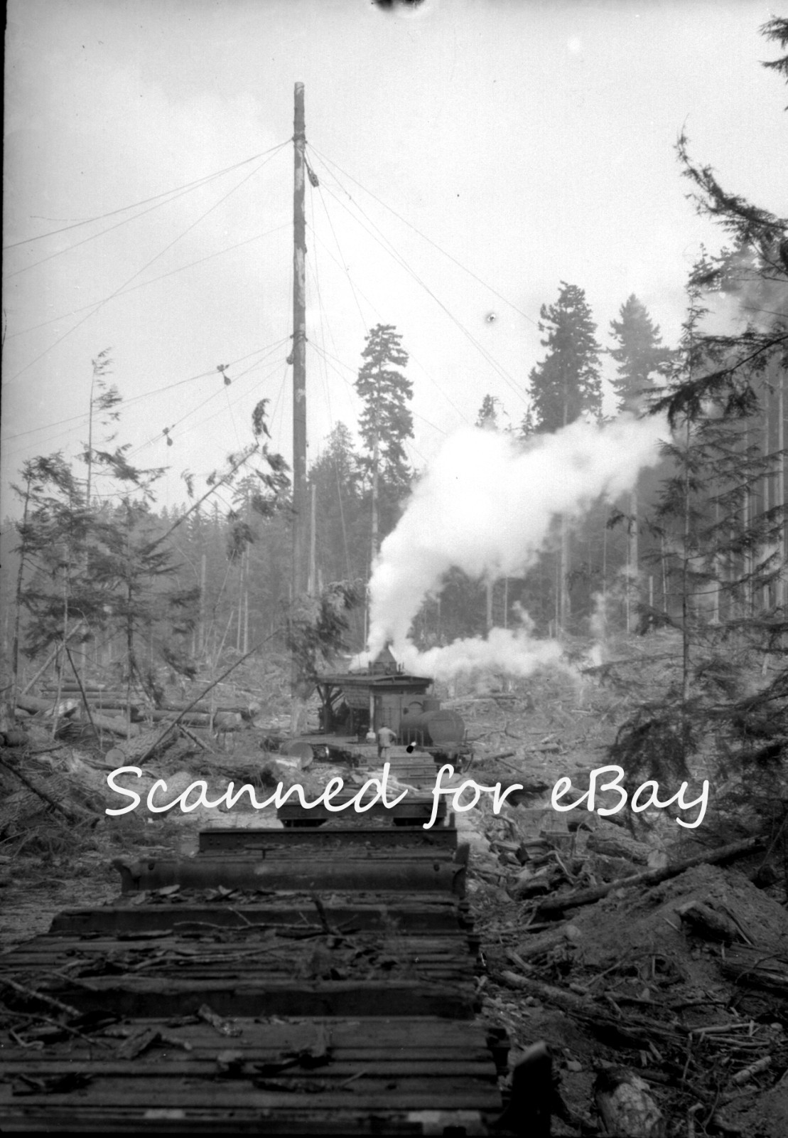 BRITISH COLUMBIA LOGGING CEMENT 1928 100 ORIG NEGATIVES IN ALBUM CANADA PEOPLE