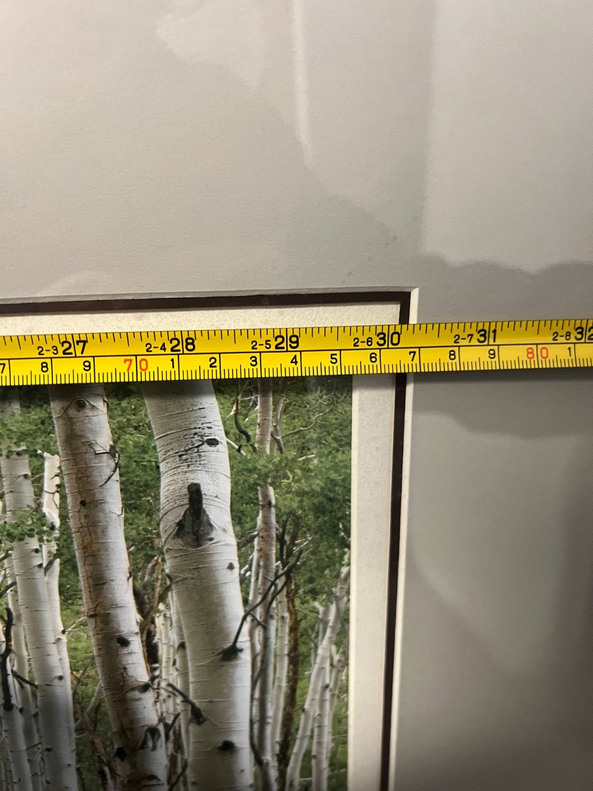Large Wall Art Photo Picture Birch Print 15”x30” Framed & Matted 27”x42”