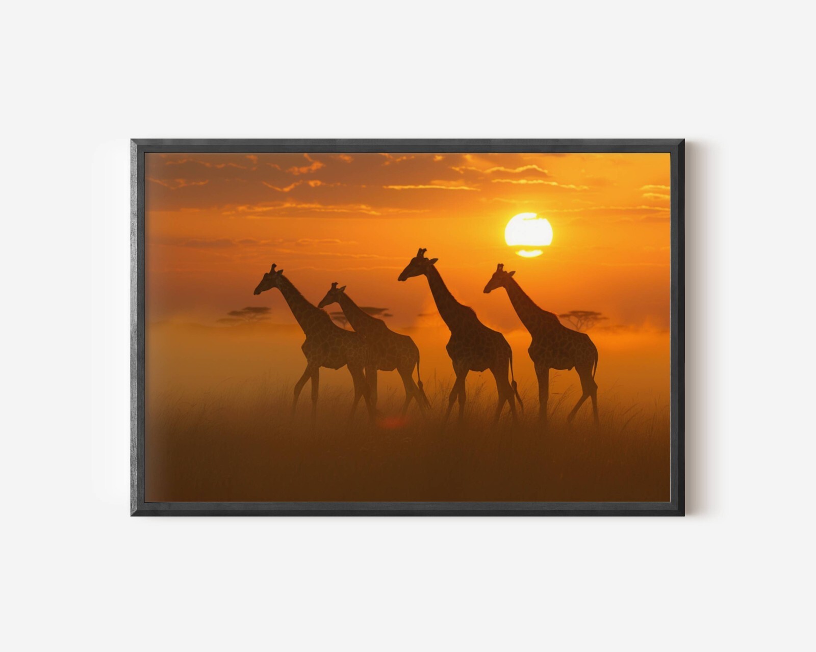 Giraffe Photo, Wildlife Photography, Animal Photo Print, Family of Giraffes Art
