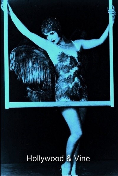 Louise Brooks  Metallic Photo Art 4×6 in Bar None #27