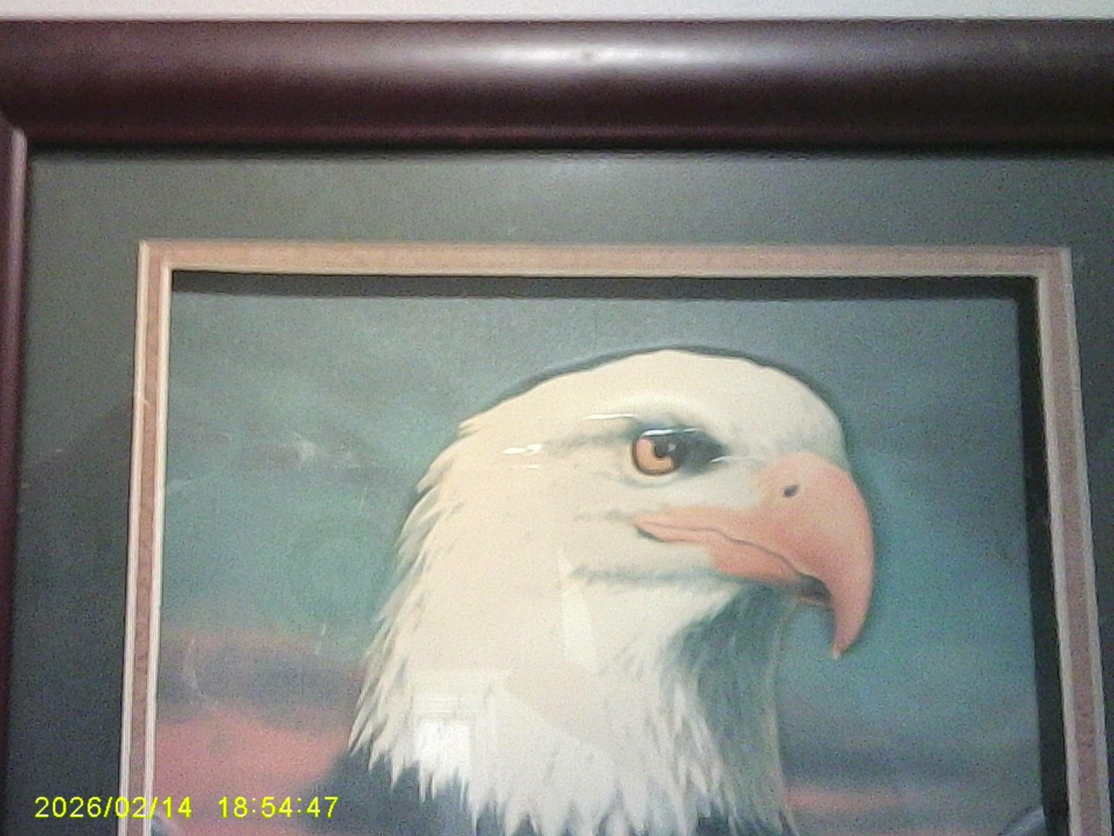 Small Framed American Bald Eagle Print Picture of eagle in flight 9×9