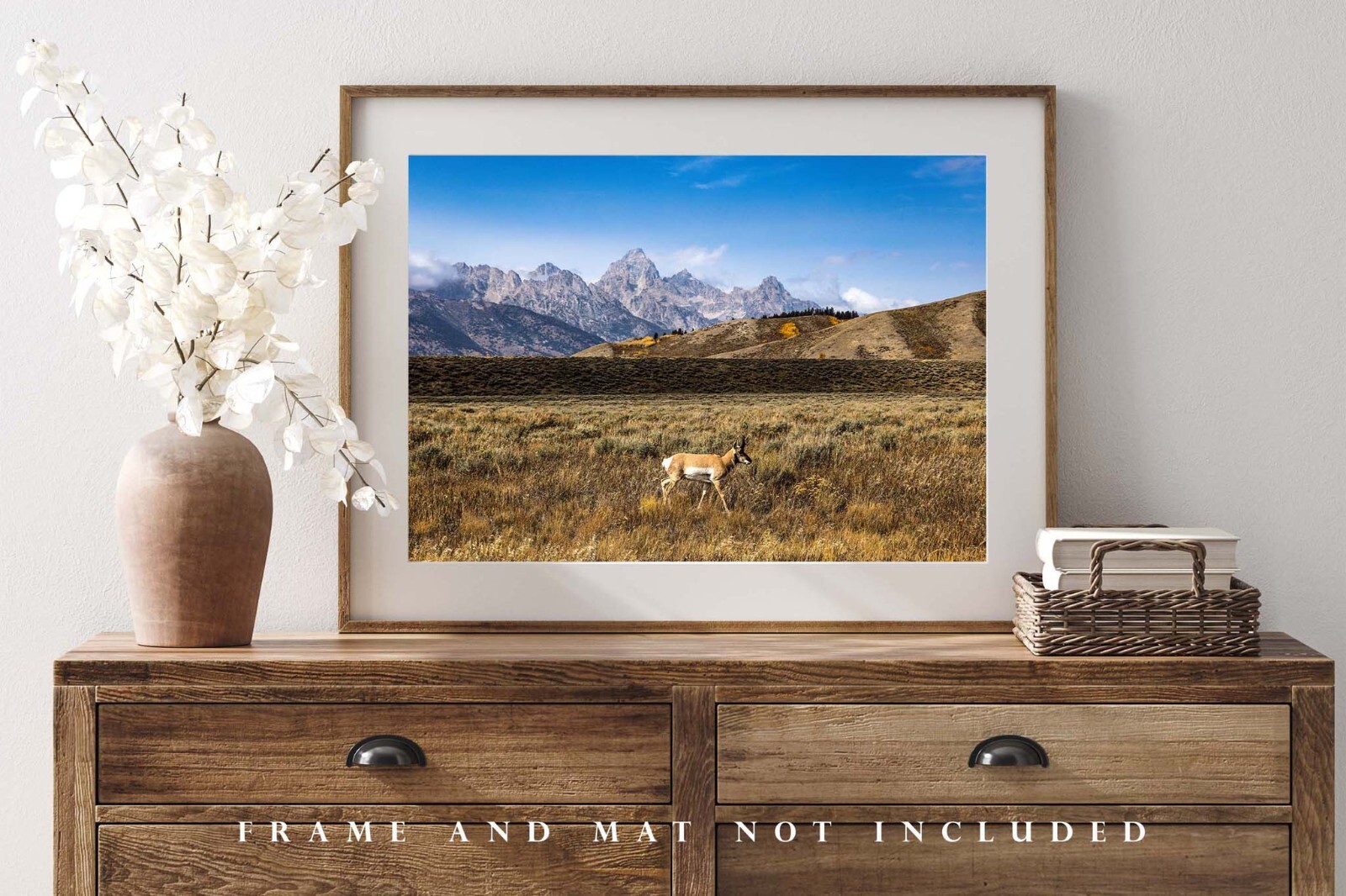 Pronghorn Antelope in Grand Teton National Park Wyoming Photography Print
