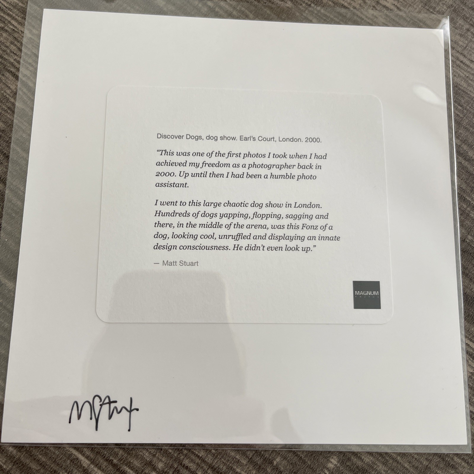Matt Stuart – Discover Dogs, 2000 Magnum 6×6 Photograph Print SIGNED