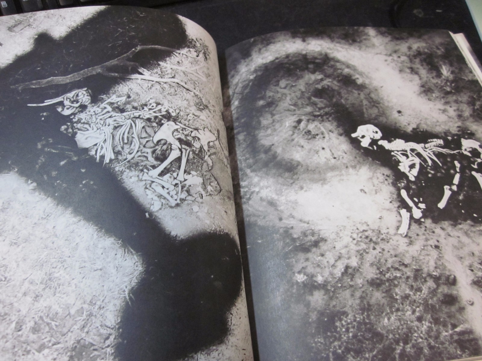 Peter Beard Photo book THE LAST WORD FROM THE PARADISE 1979 1st. edition Japan