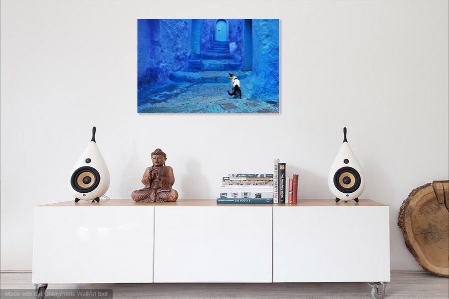 Cat in Blue City on Canvas – Morocco, Africa Travel Pets Dogs Wall Art 16X24