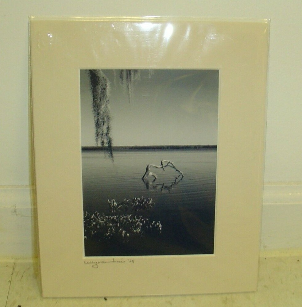 ART PHOTOGRAPHY lake view with a couple trees B&W by Larry Santucci 8×10