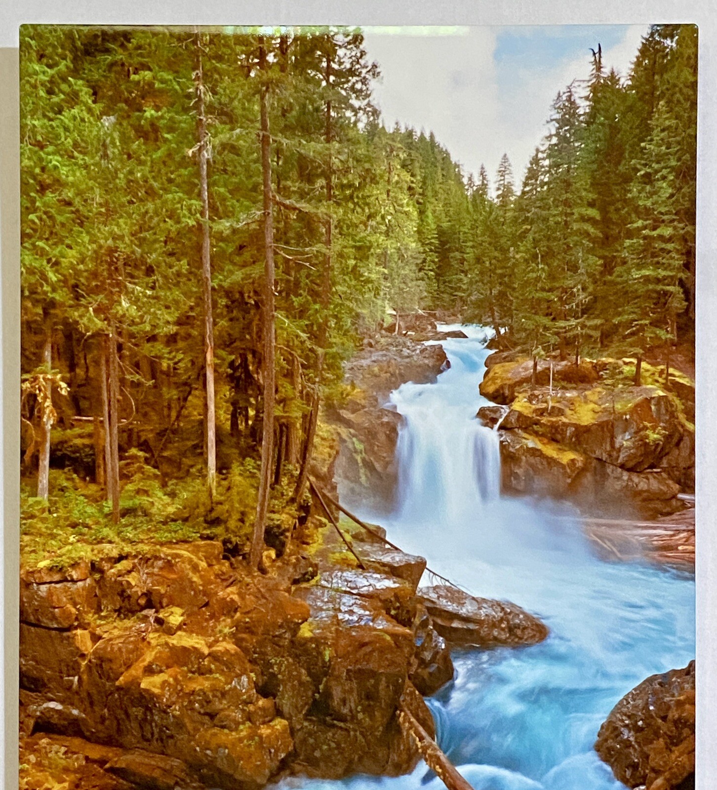 PNW Landscape Waterfall Art Forest River Photographic Metal Print 11×14 Signed