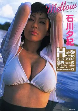 Yuki Ishikawa Female Idol Photo Collection Mellow Japan Ships