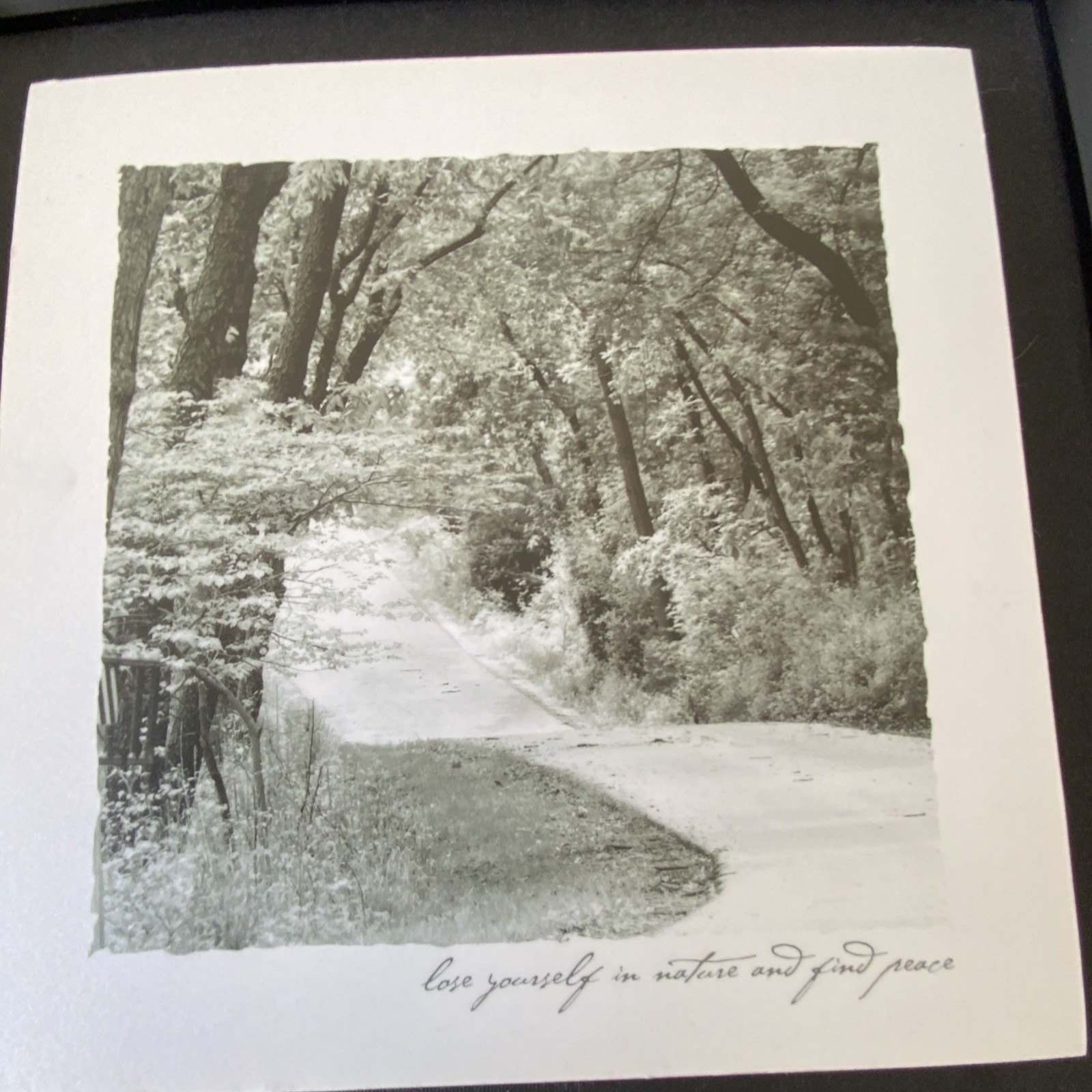Framed Matted B&W Landscape Road Trees Photo Print Quote “lose yourself”