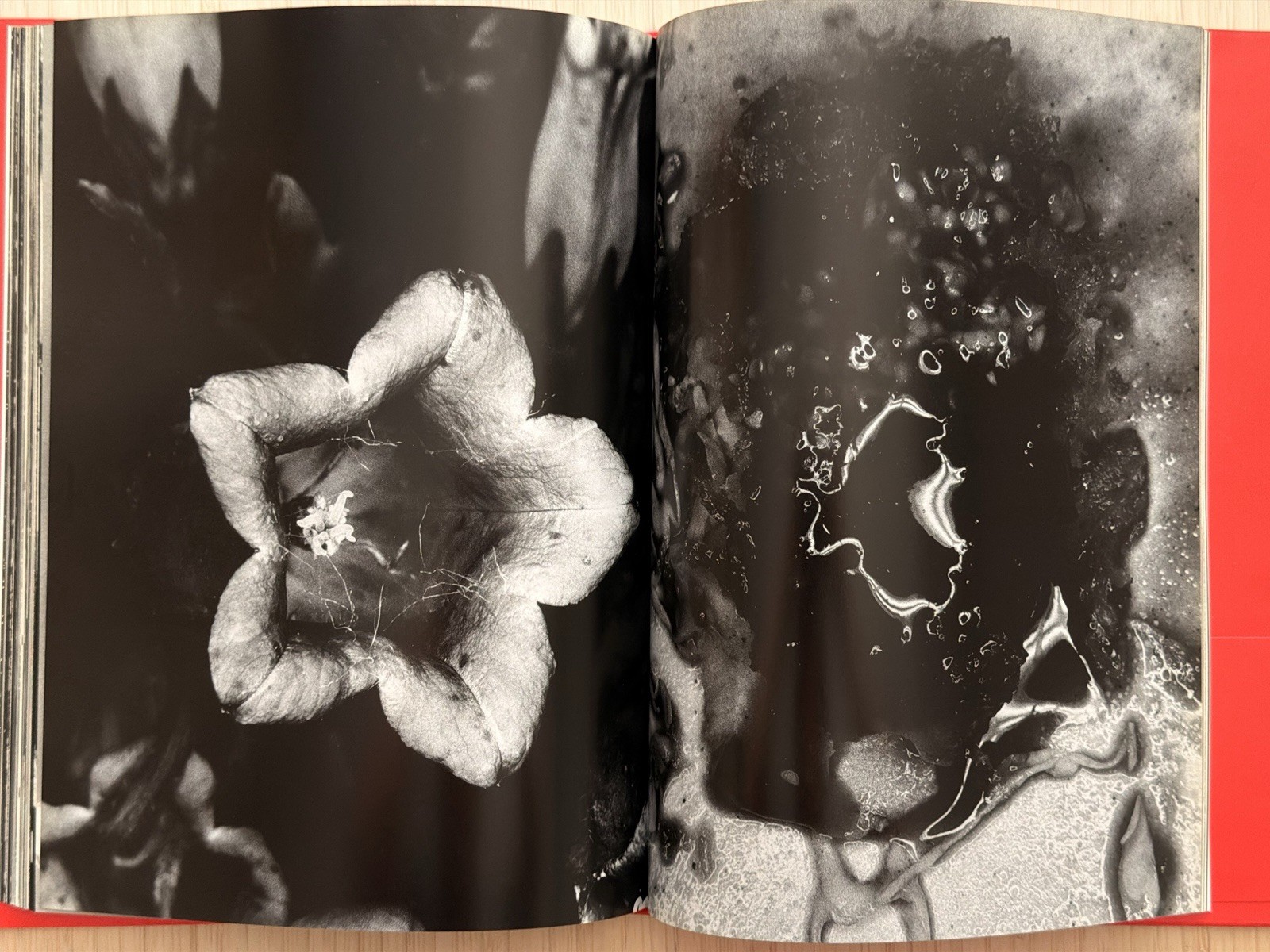 🎈SIGNED Nobuyoshi Araki – EROTOS, First Edition 1993, Japan, HC, LIBRO, SupRARE