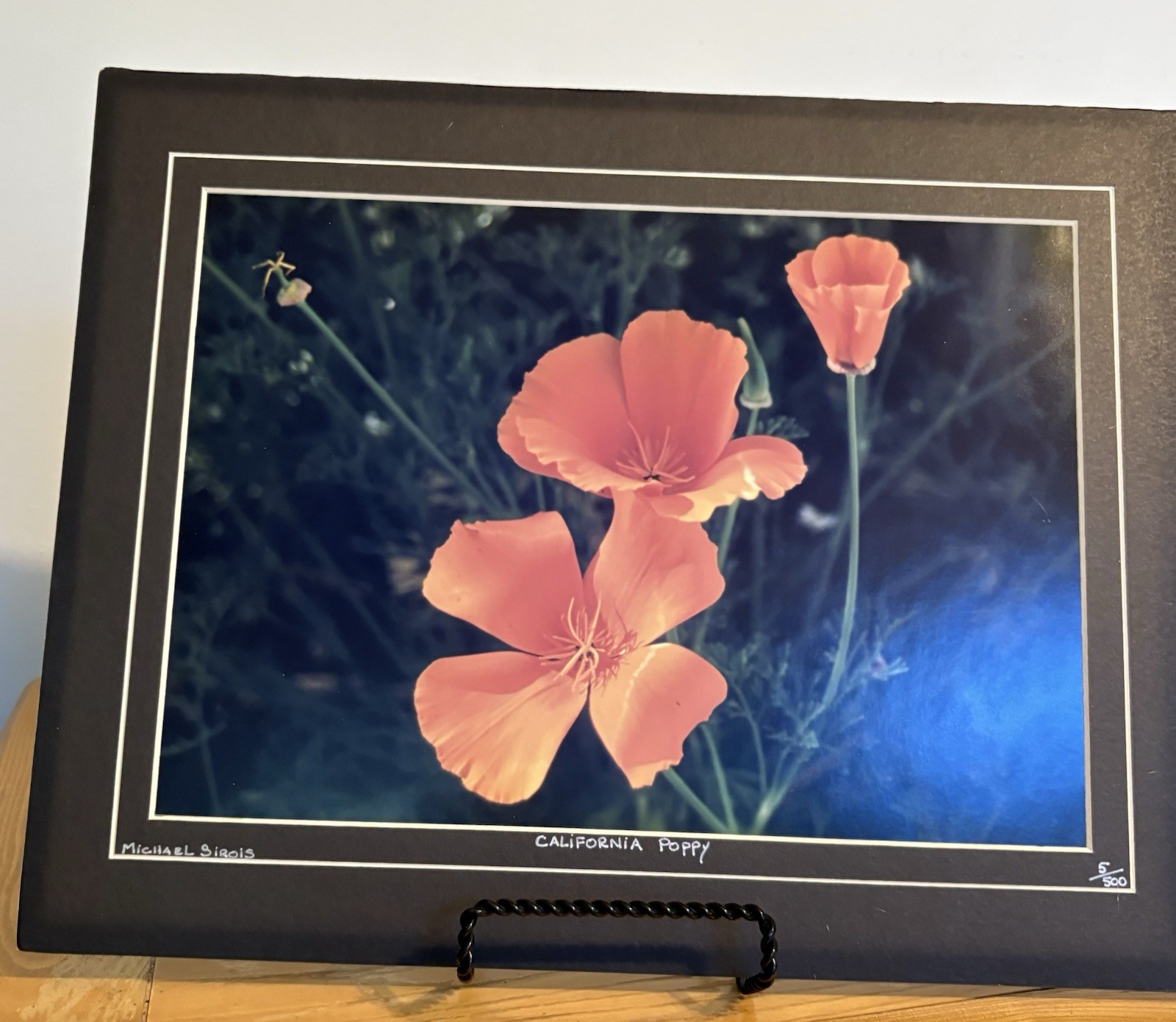 Michael Sirois Signed “California Poppy” Color Landscape Floral Photo, Matted