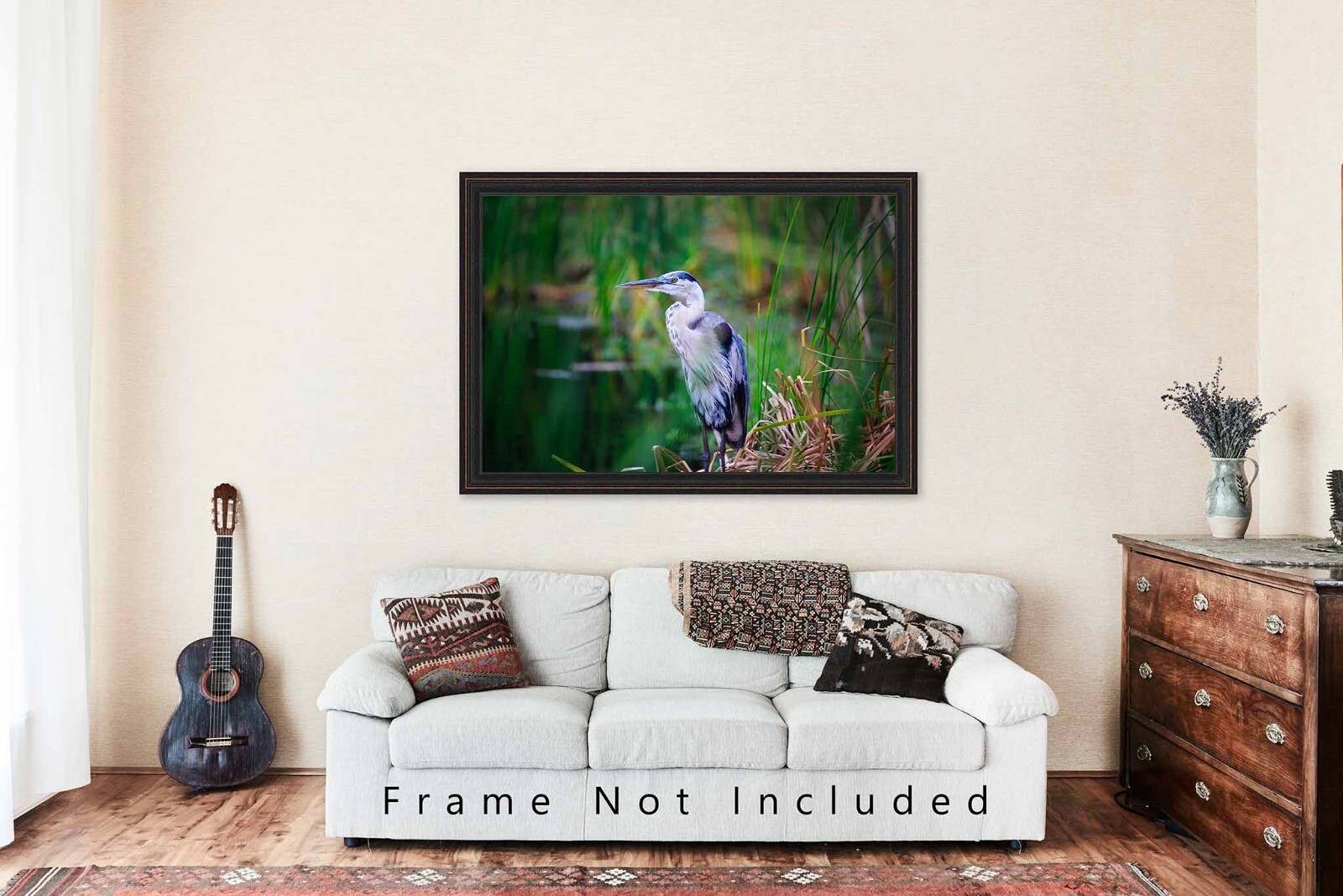 Wildlife Photography Print – Picture of Great Blue Heron in South Carolina