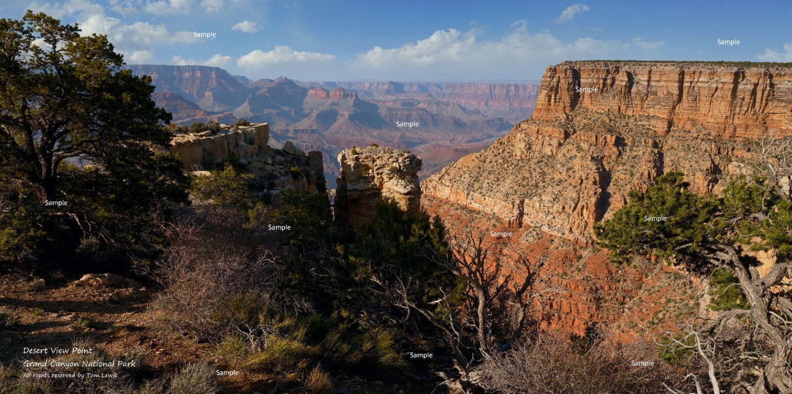 Grand Canyon National Park Arizona Desert View Point Poster Photo Print GC03