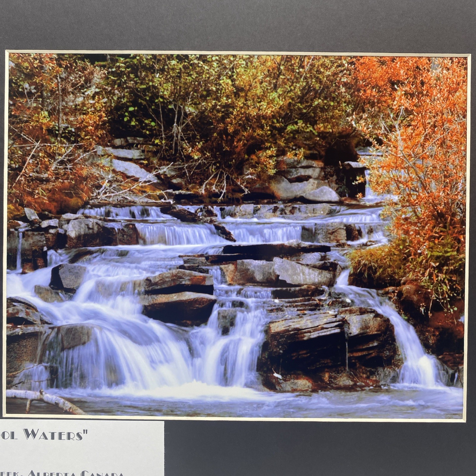 Matted River Forest Landscape Photo Print 11 X 14 Wall Art Gallery Decor