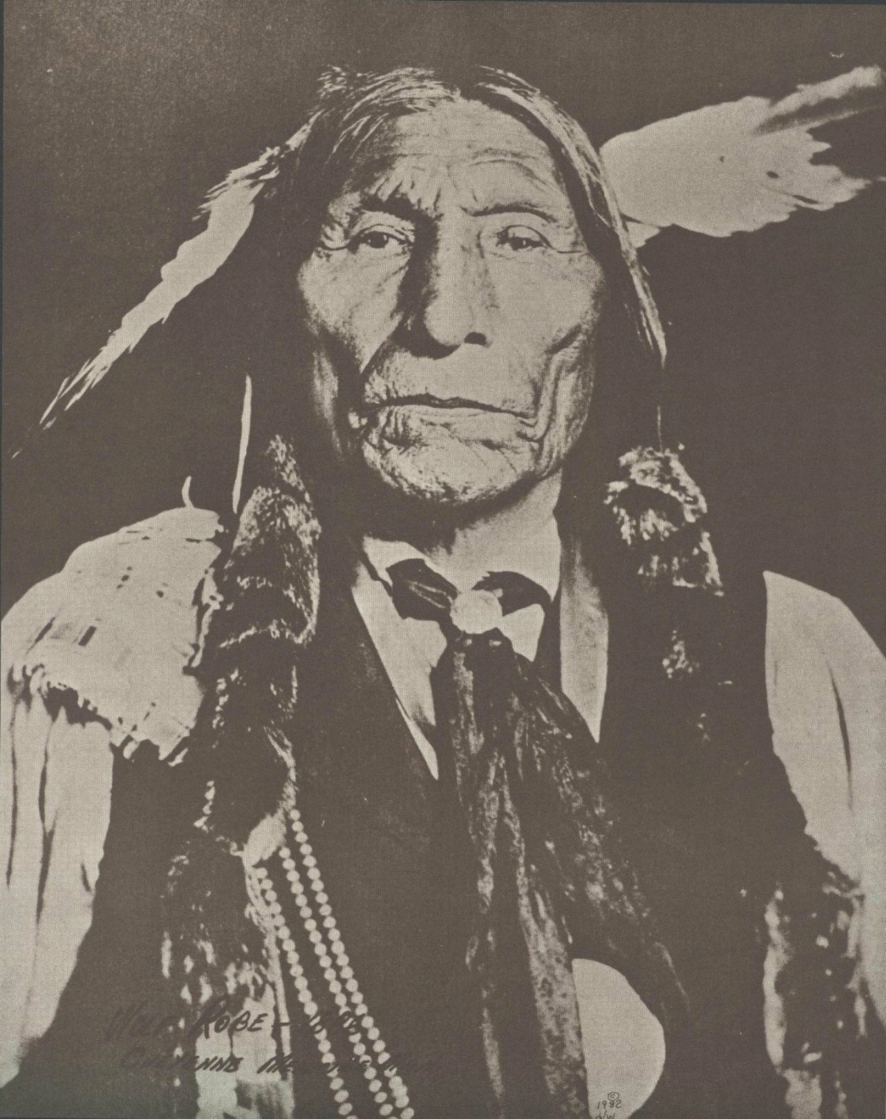WESTERN Indian CHEYENNE CHIEF Wolf Robe VINTAGE Photo Print 799 11″ x 14″