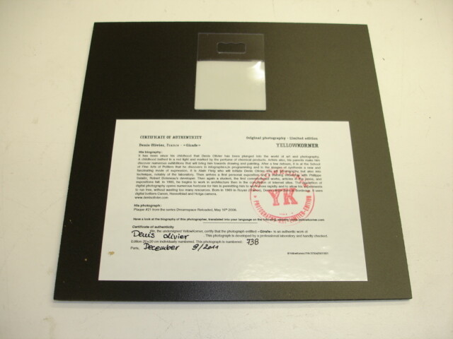 Yellow Komer Certify Photograph Glrafe Limited Edition 20×20 cm #738 Beautiful