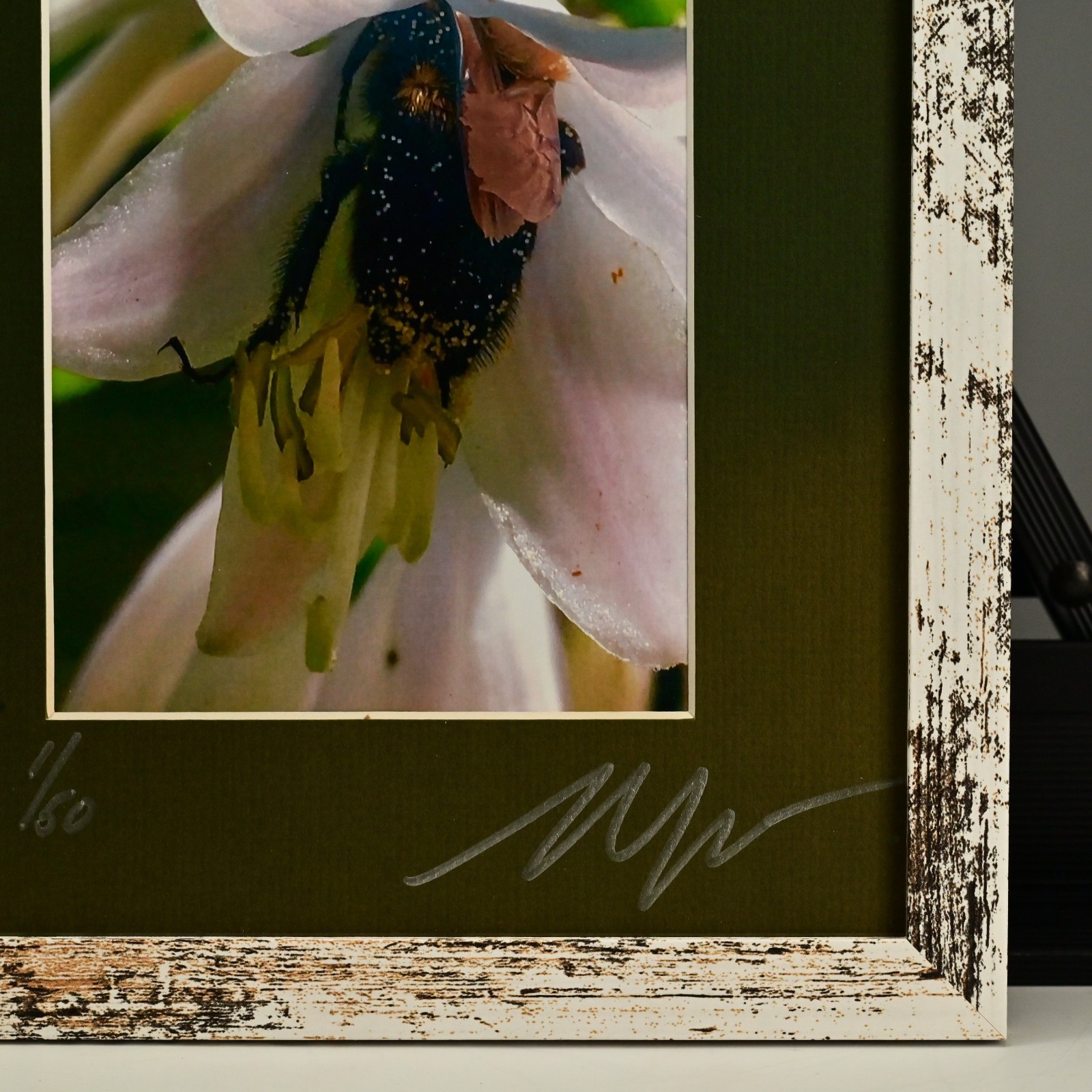 MICHAEL RAY Original Vintage Signed Long Island NY Floral Still Life Photograph