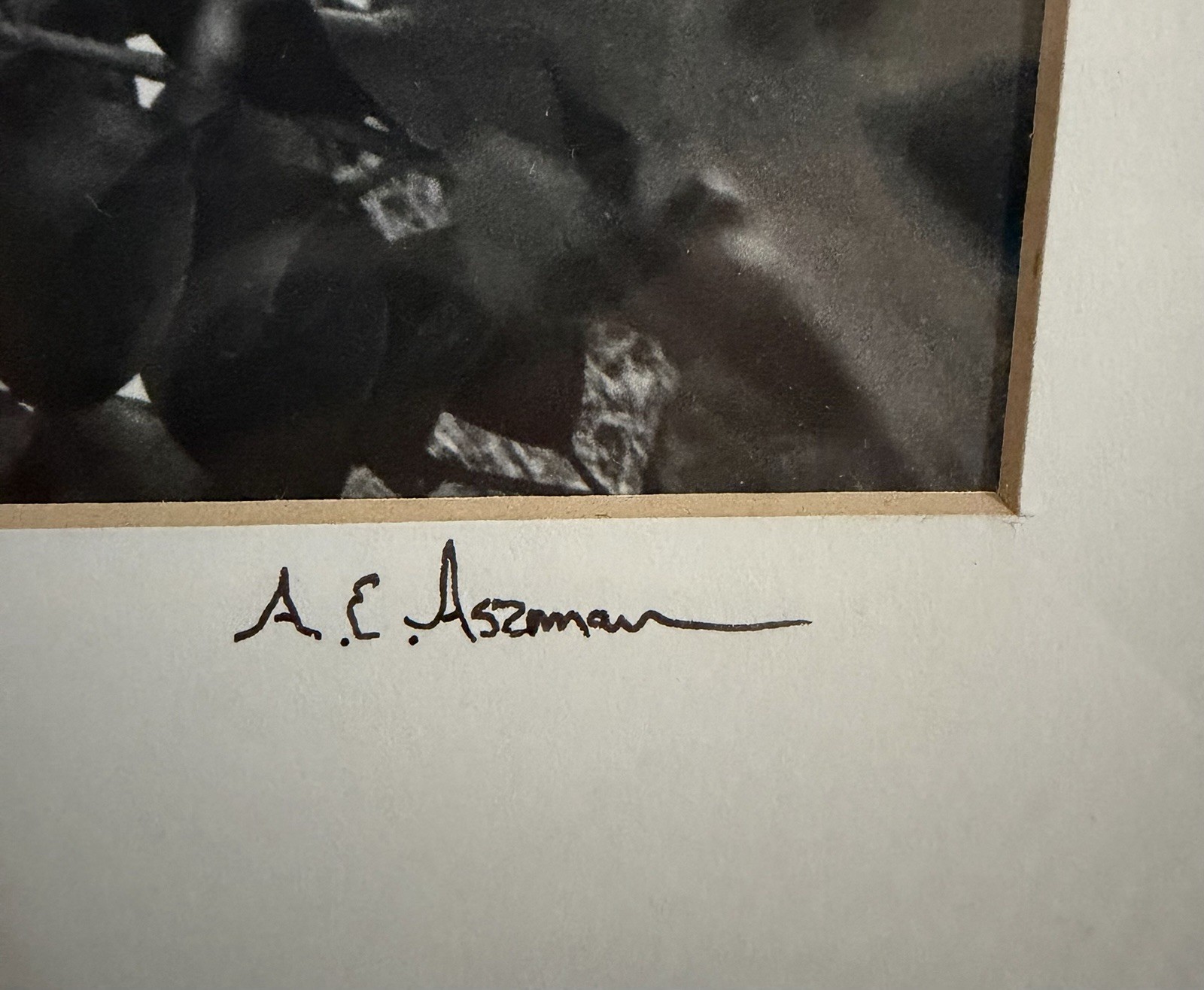 “Late Summer Light” Print by the photographer Albert Aszman. Signed