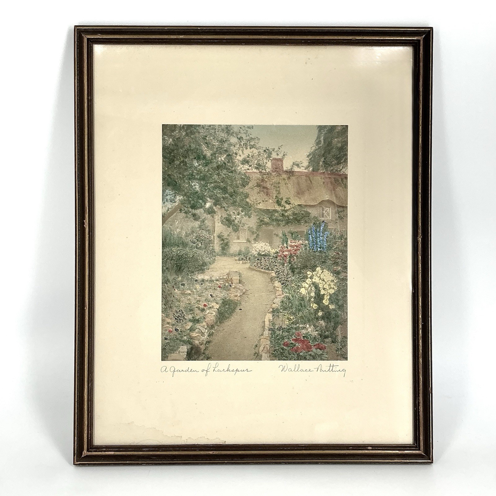 Wallace Nutting A Garden Of Larkspur Hand Tinted Colored Photo Signed Framed