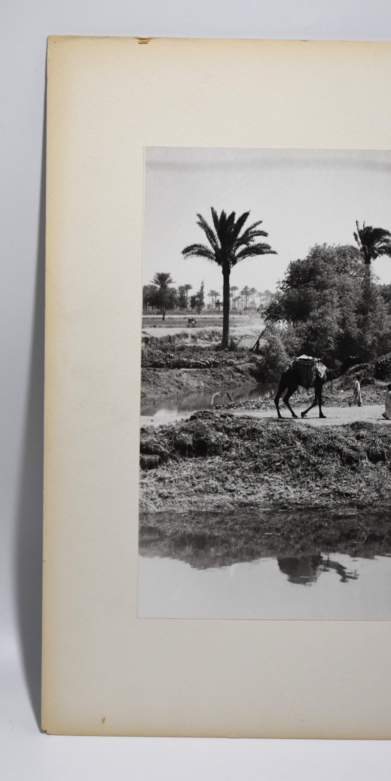 J.W. Howlett Black + white Photograph focusing on a Group of Travelers W/ Camel