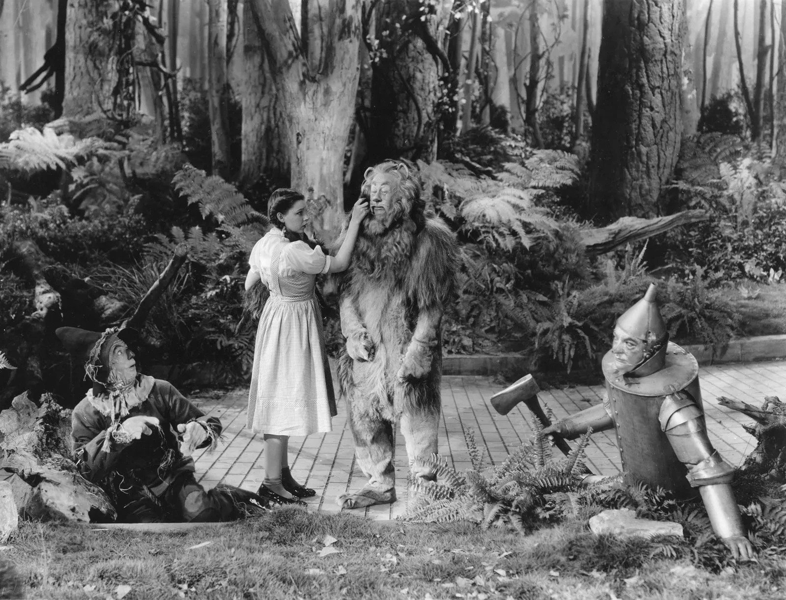 Wizard Of Oz Haunted Forest Dorothy Scarecrow Tin Man Cowardly Lion Photo 8.5×11