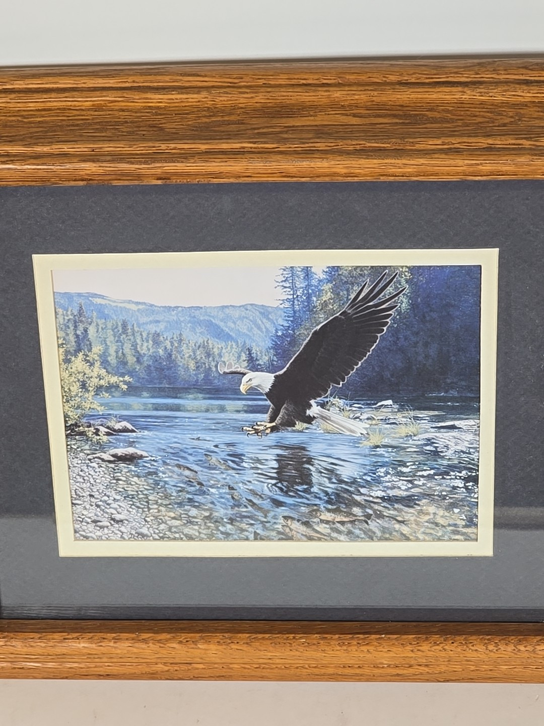 Framed American Bald Eagle Print Picture Of Eagle Coming In For A Fish Dinner