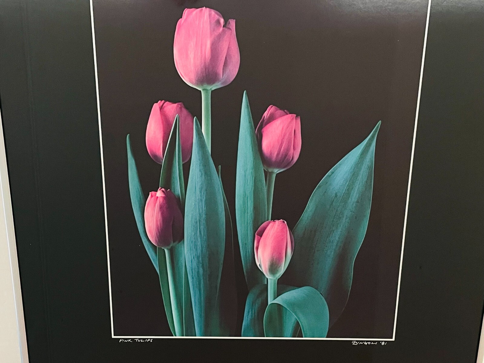 NICK ZUNGOLI Vintage 1981 “Pink Tulips” Signed & Framed- 18 x 24″