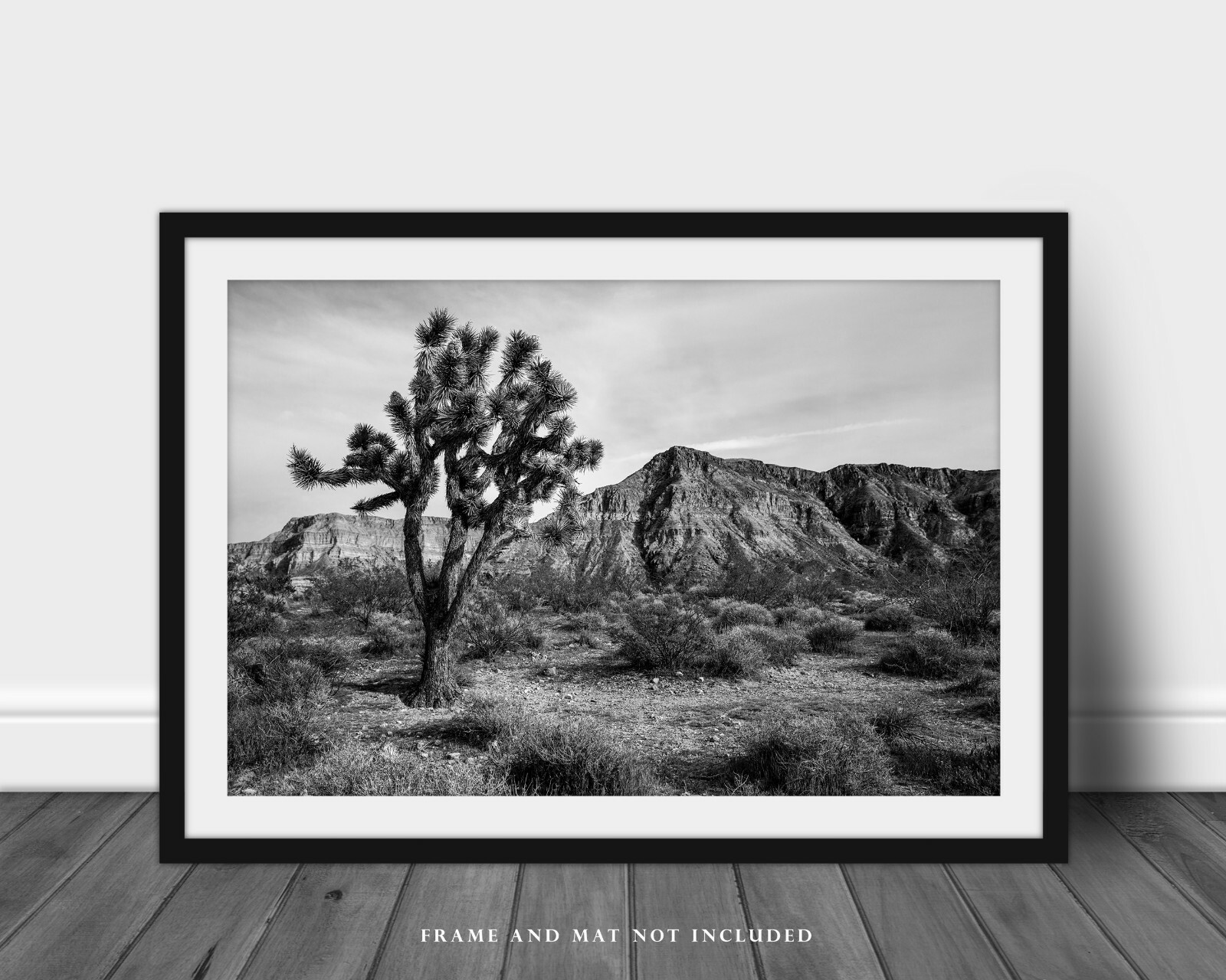 Desert Photography Print – Black and White Picture of Joshua Tree in Arizona