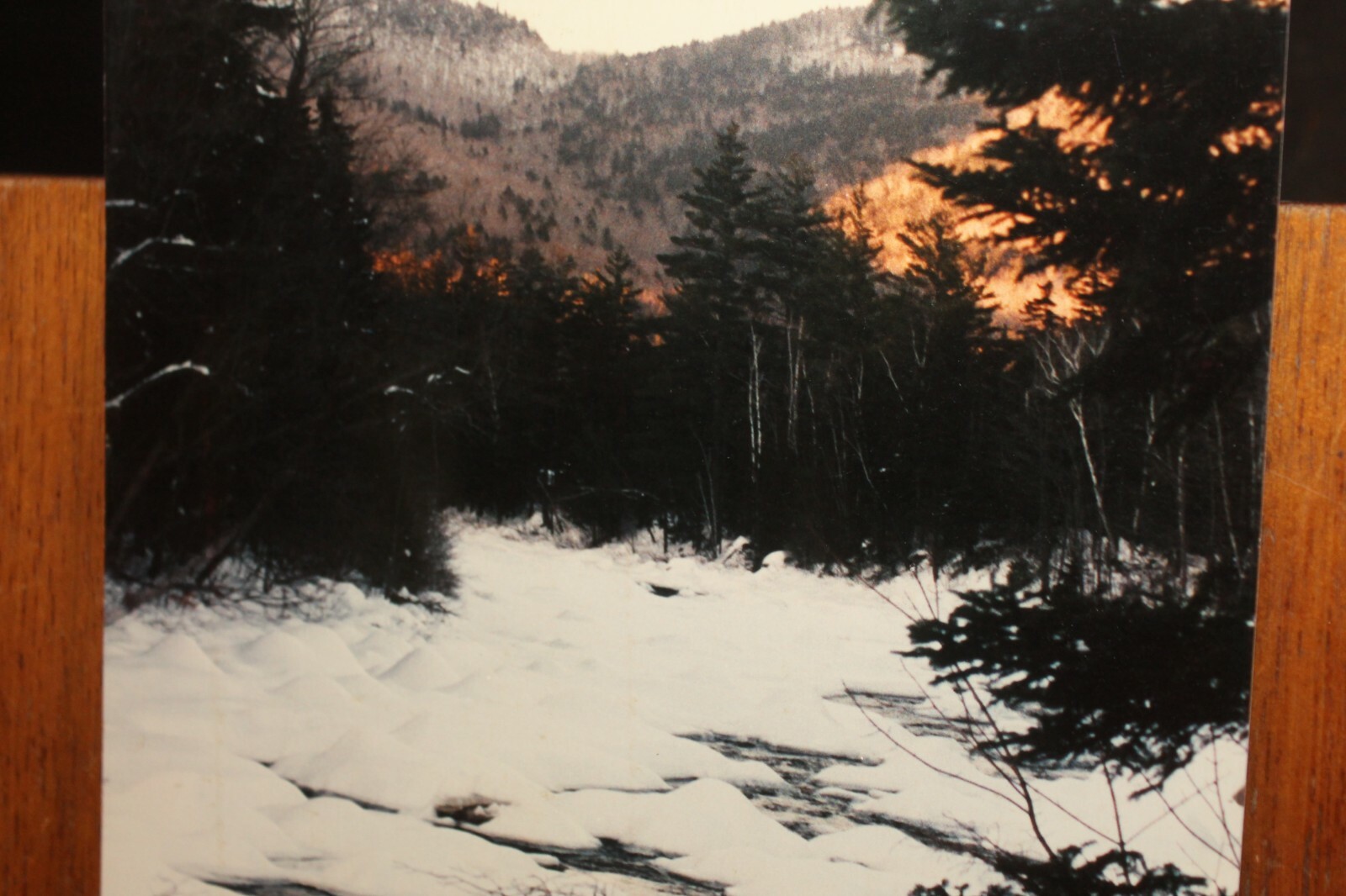 Vintage 8×12 Photo W. Beebe East Tennessee Frozen Mountain Stream Snow Winter