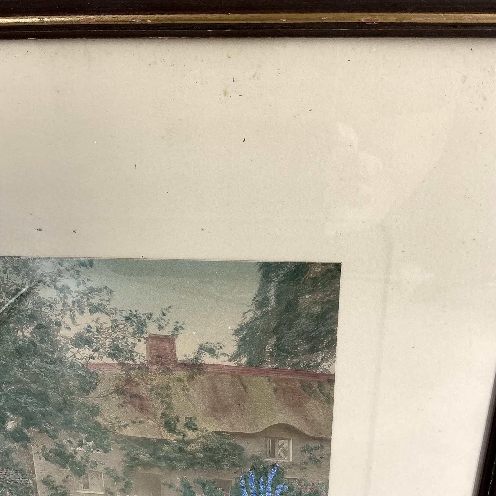 Wallace Nutting A Garden Of Larkspur Hand Tinted Colored Photo Signed Framed