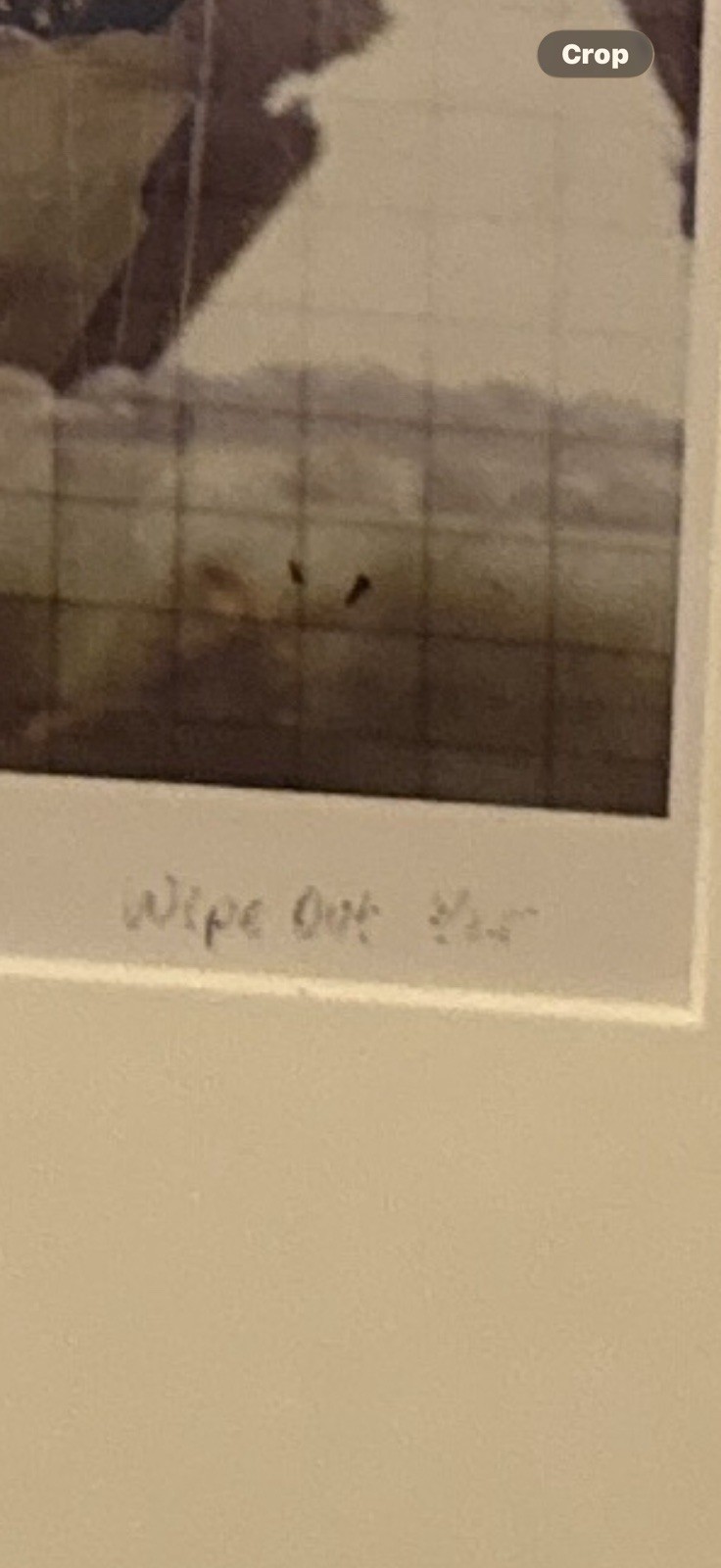 Signed Limited Edition “Wipe Out” Dorothea Dolevsky – Framed Butterfly Art Print