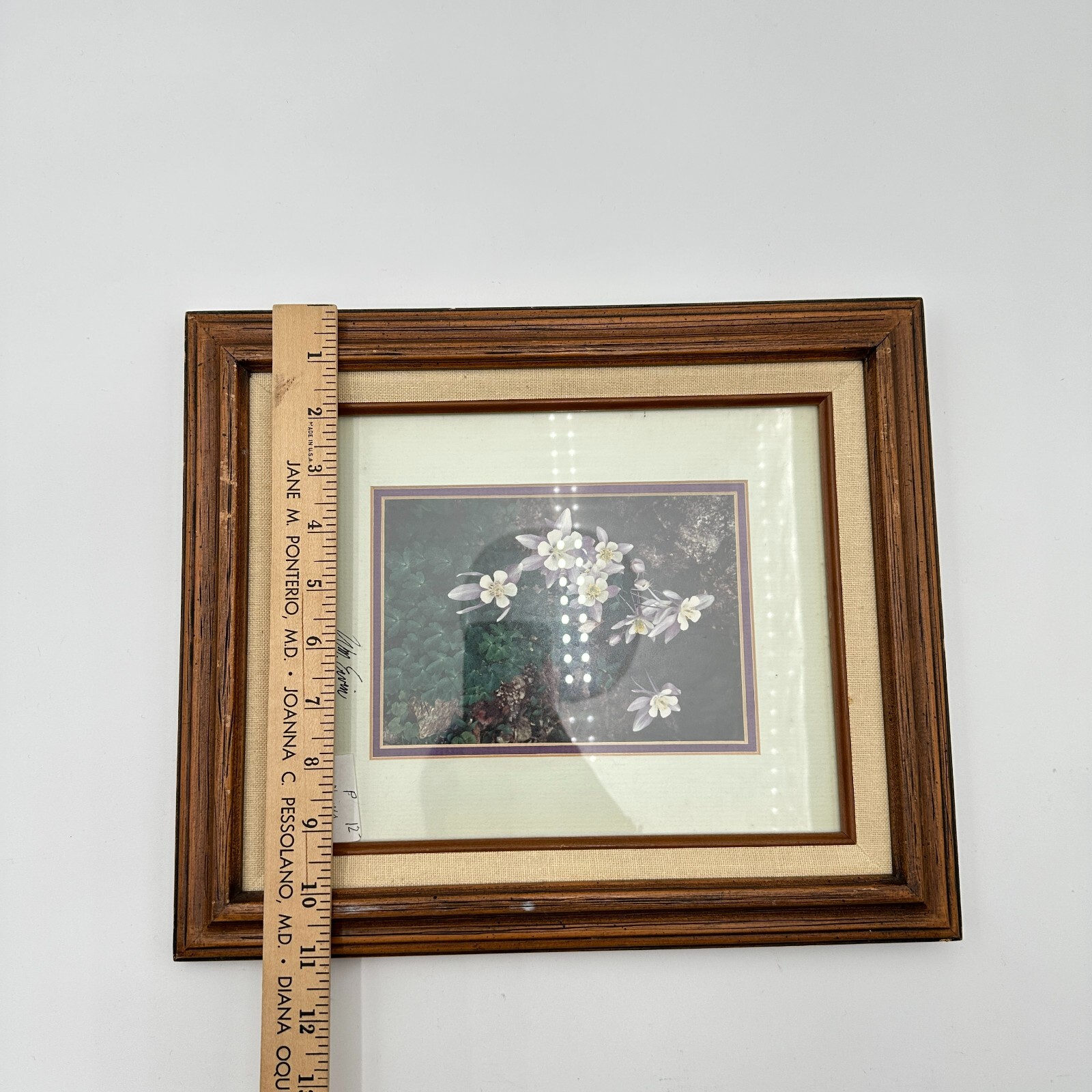 Vtg Natural Imagery Colorado Blue Columbine Photography by William Ervin Signed