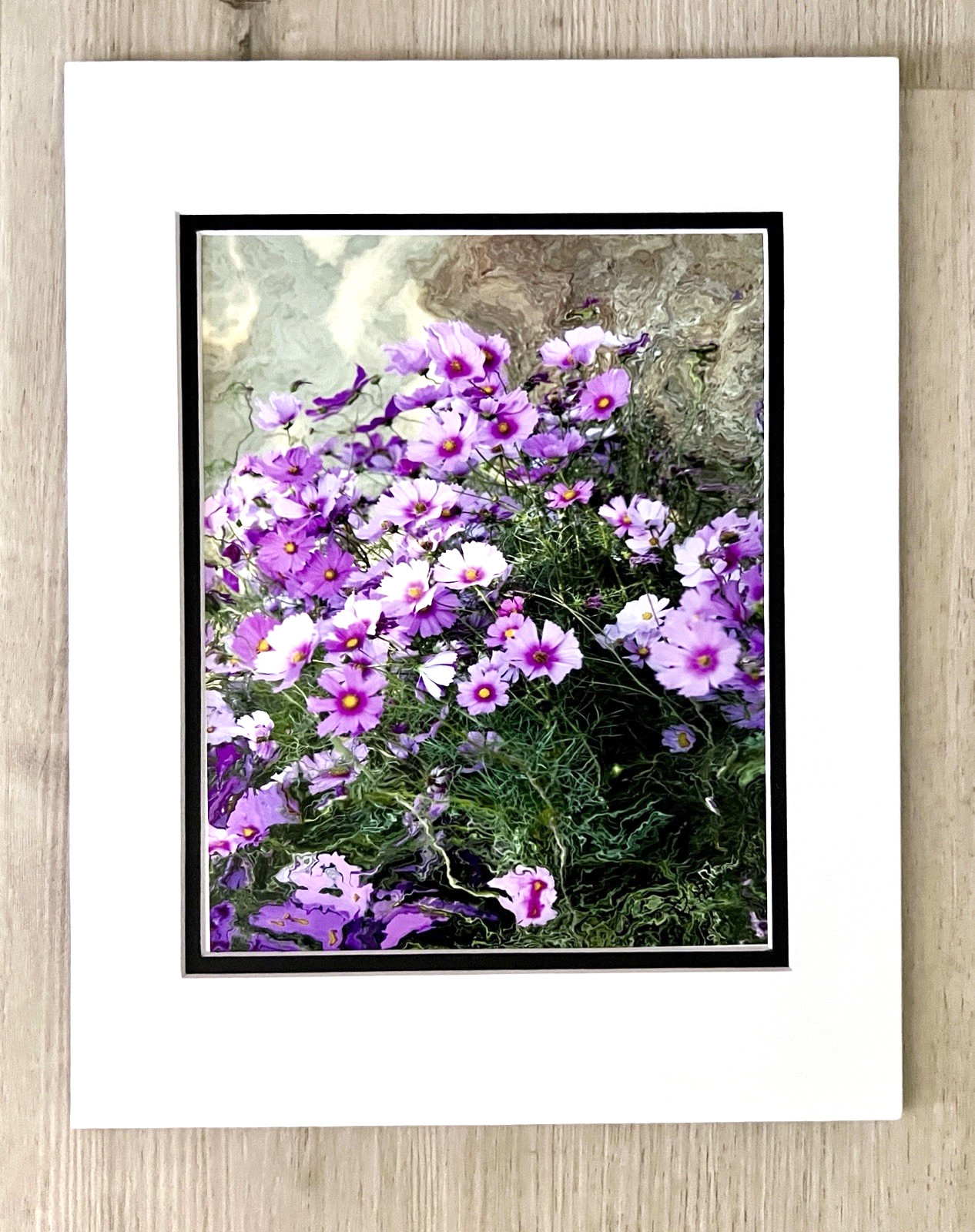Photo Of a Garden Bouquet of Cosmos : Matted Size 14”x11”