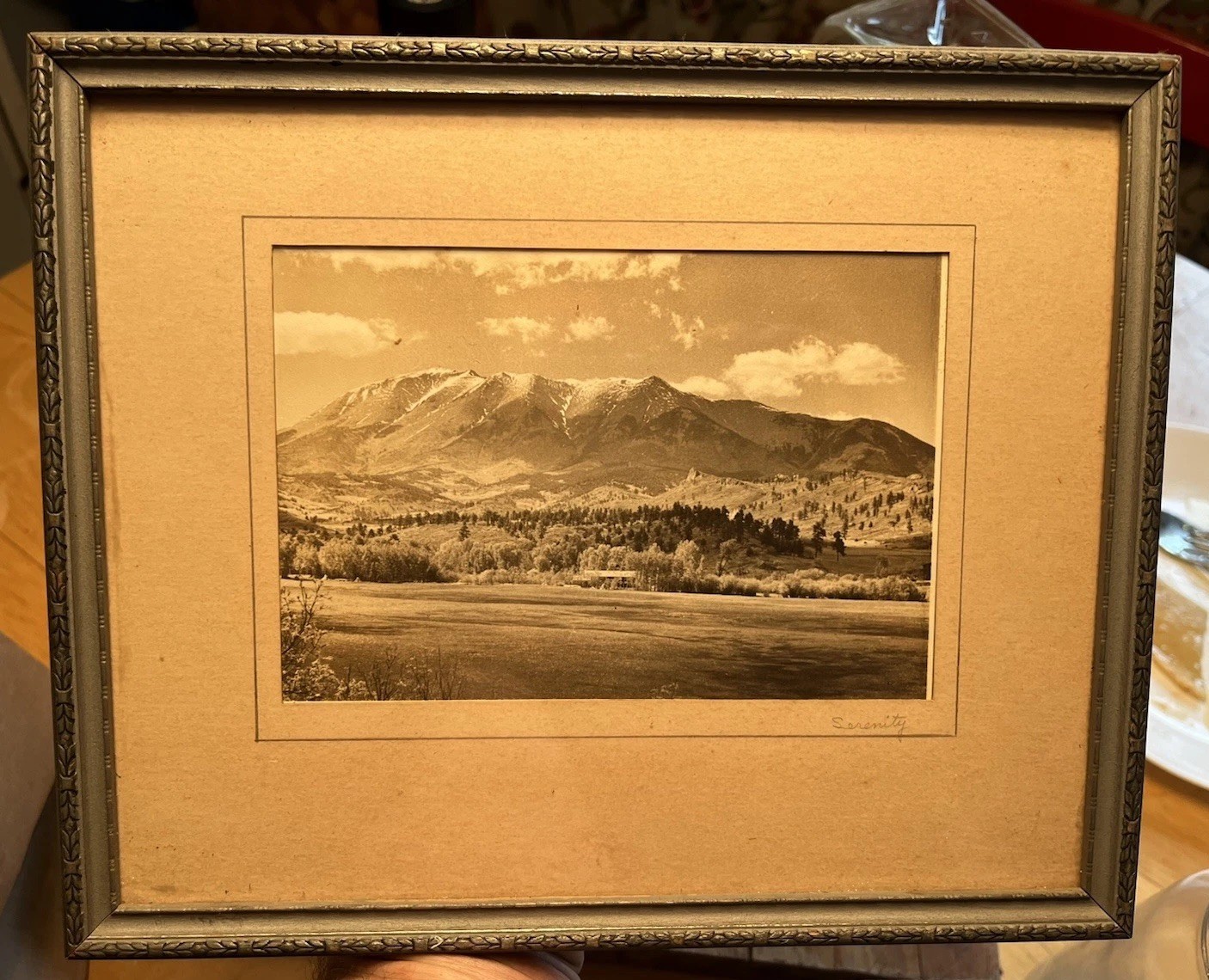 RARE ORIGINAL Early 1900s Silver Photo