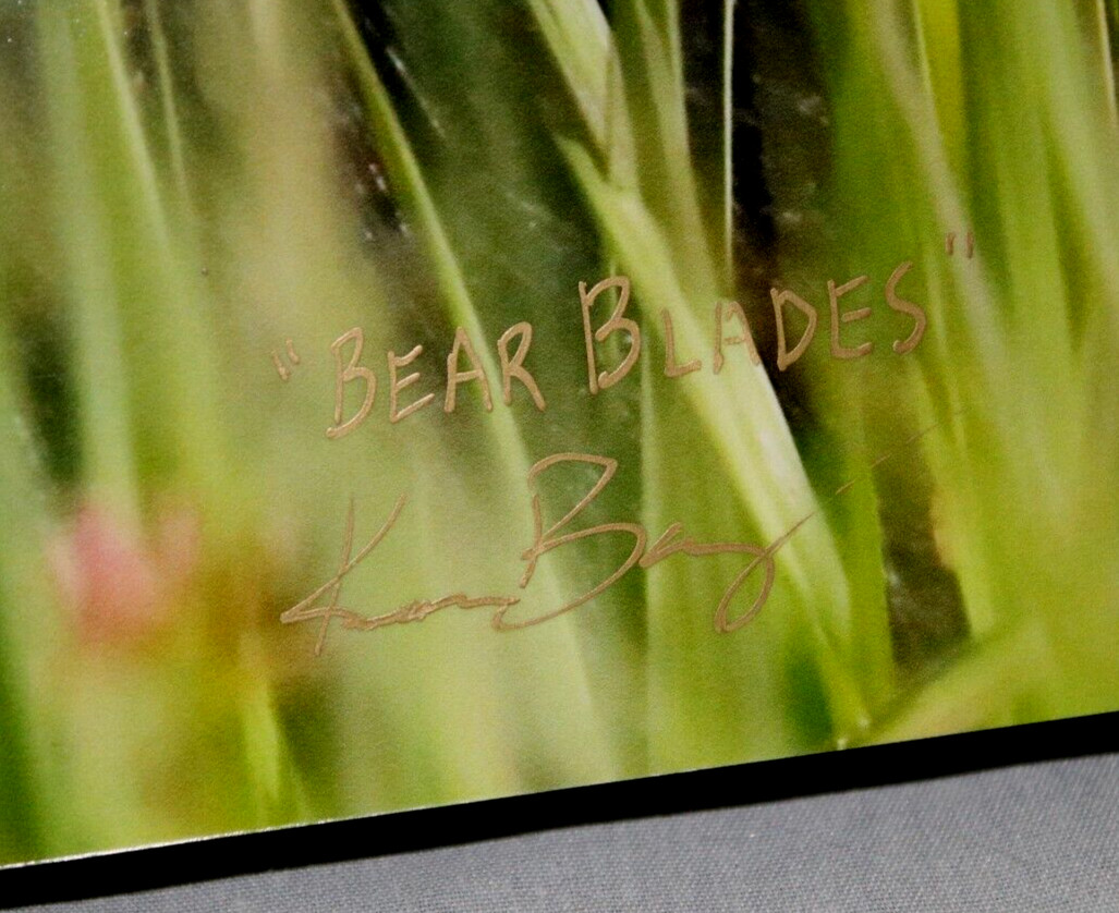 Black Bear in Grass “Bear Blades” 16″ x 20″ Mounted Wildlife Photo by Kim Barry