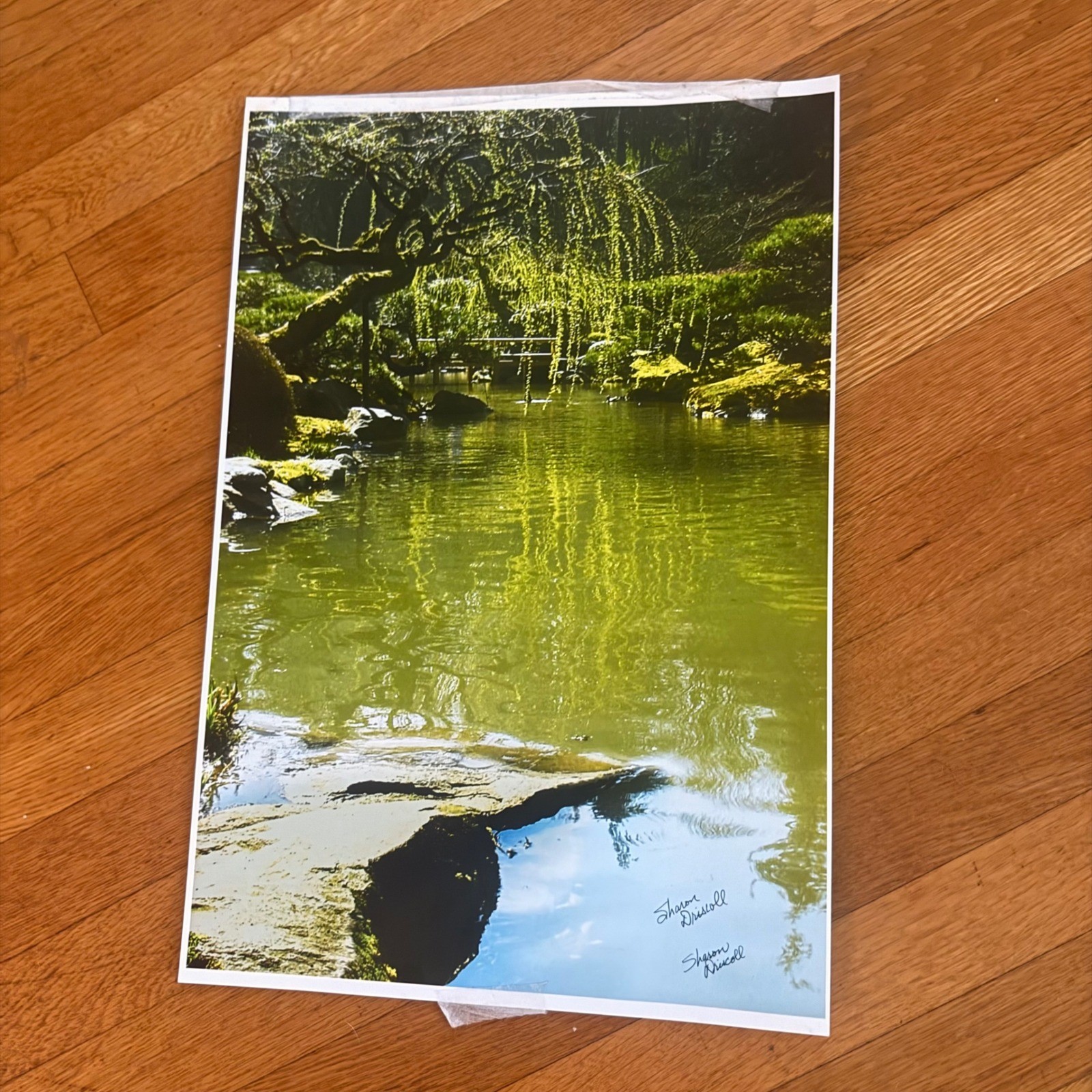 Sharon Driscoll Signed 13×19 Japanese Garden Photograph – Portland PNW Artist