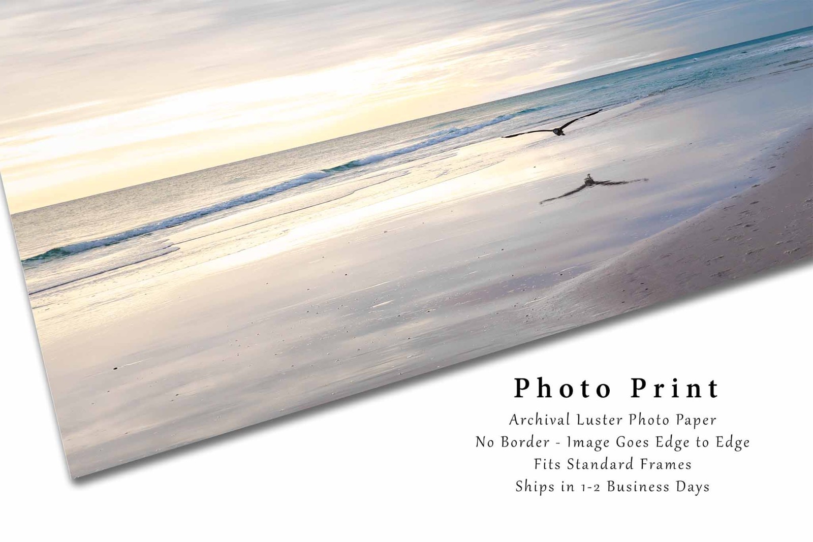 Sea Bird Flying Over Waves at Pensacola Beach Florida Photo Print (Unframed)