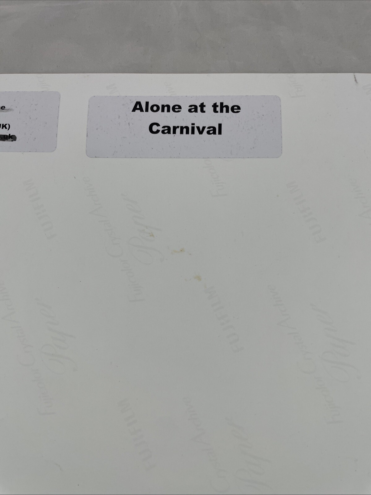 Alone At The Carnival Venice Italy Photo 12″ x 16″