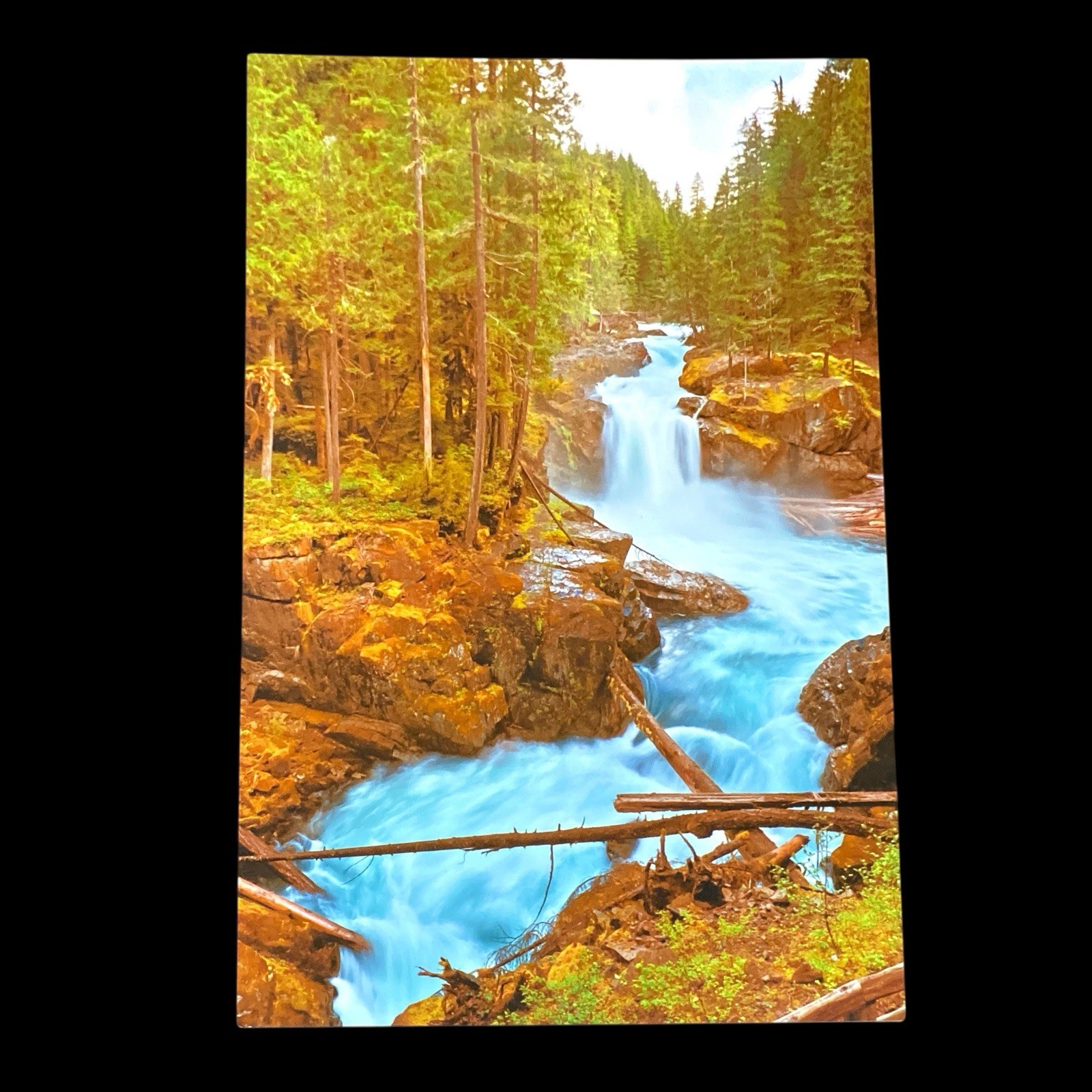 PNW Landscape Waterfall Art Forest River Photographic Metal Print 11×14 Signed