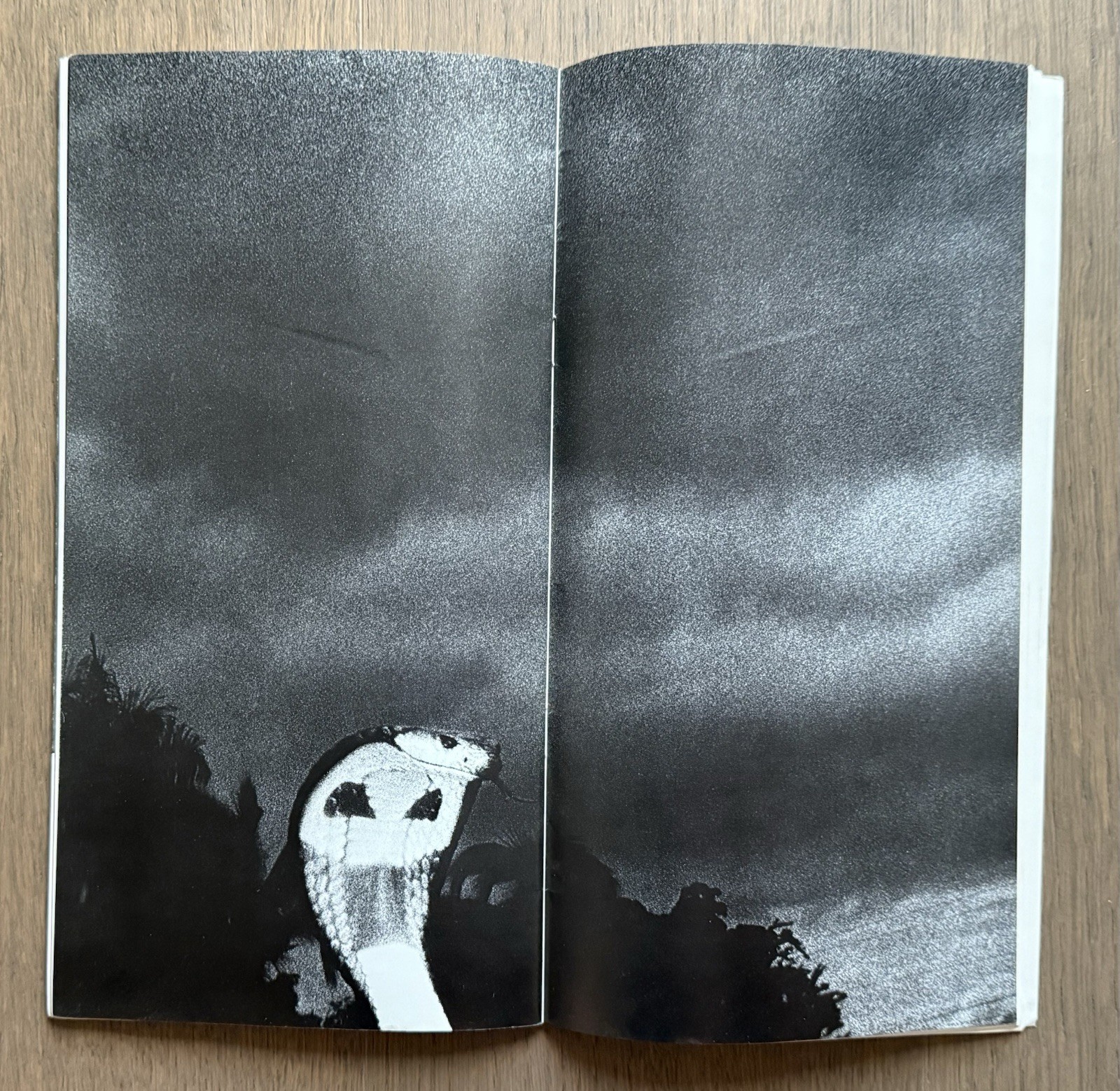 🎈Super RARE! Daido Moriyama – WORKSHOP No. 5, 1975, Araki, Takuma Nakahira