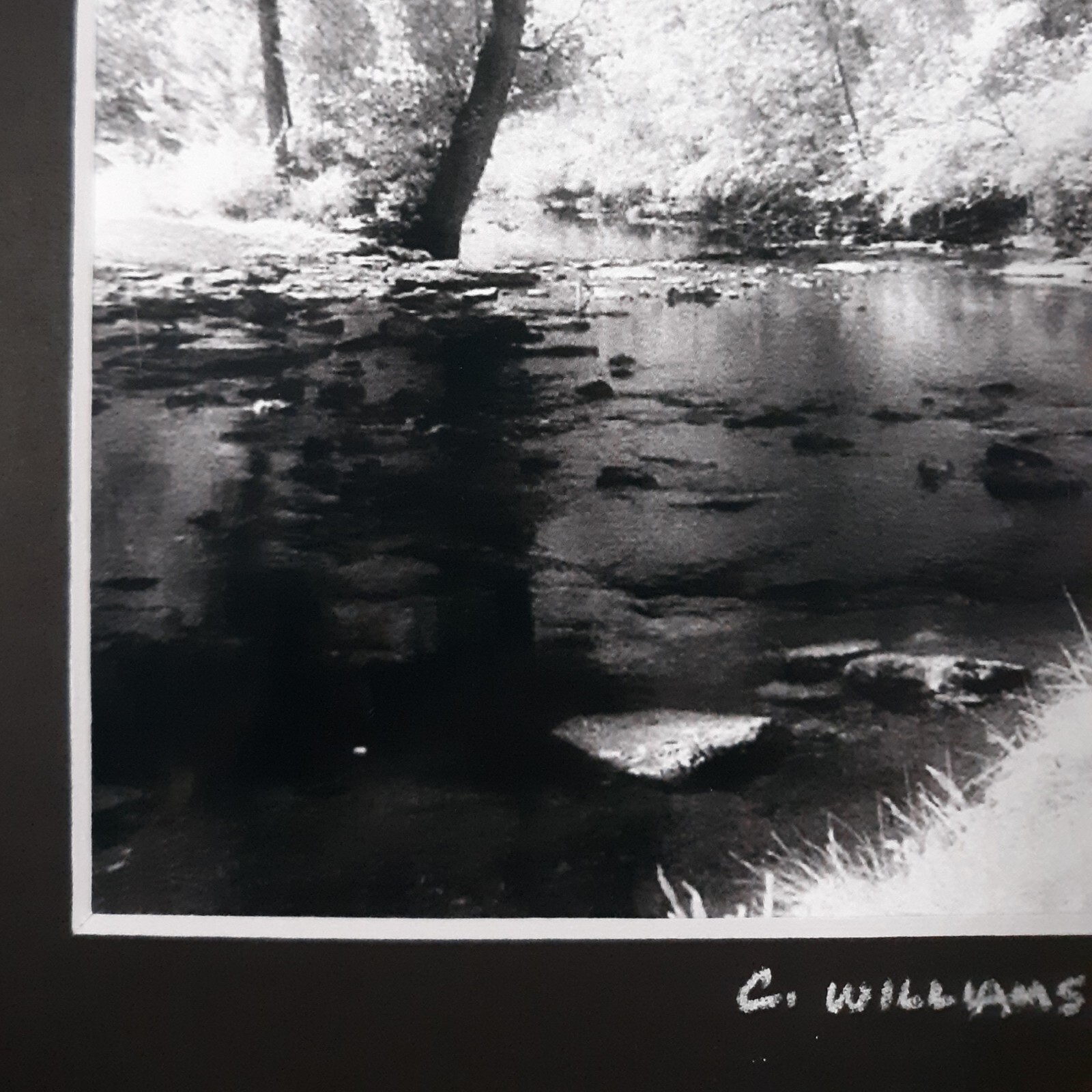 Black Mat Photo Landscape Park Infrared Photography Limited Ed 1/2 Signed Print