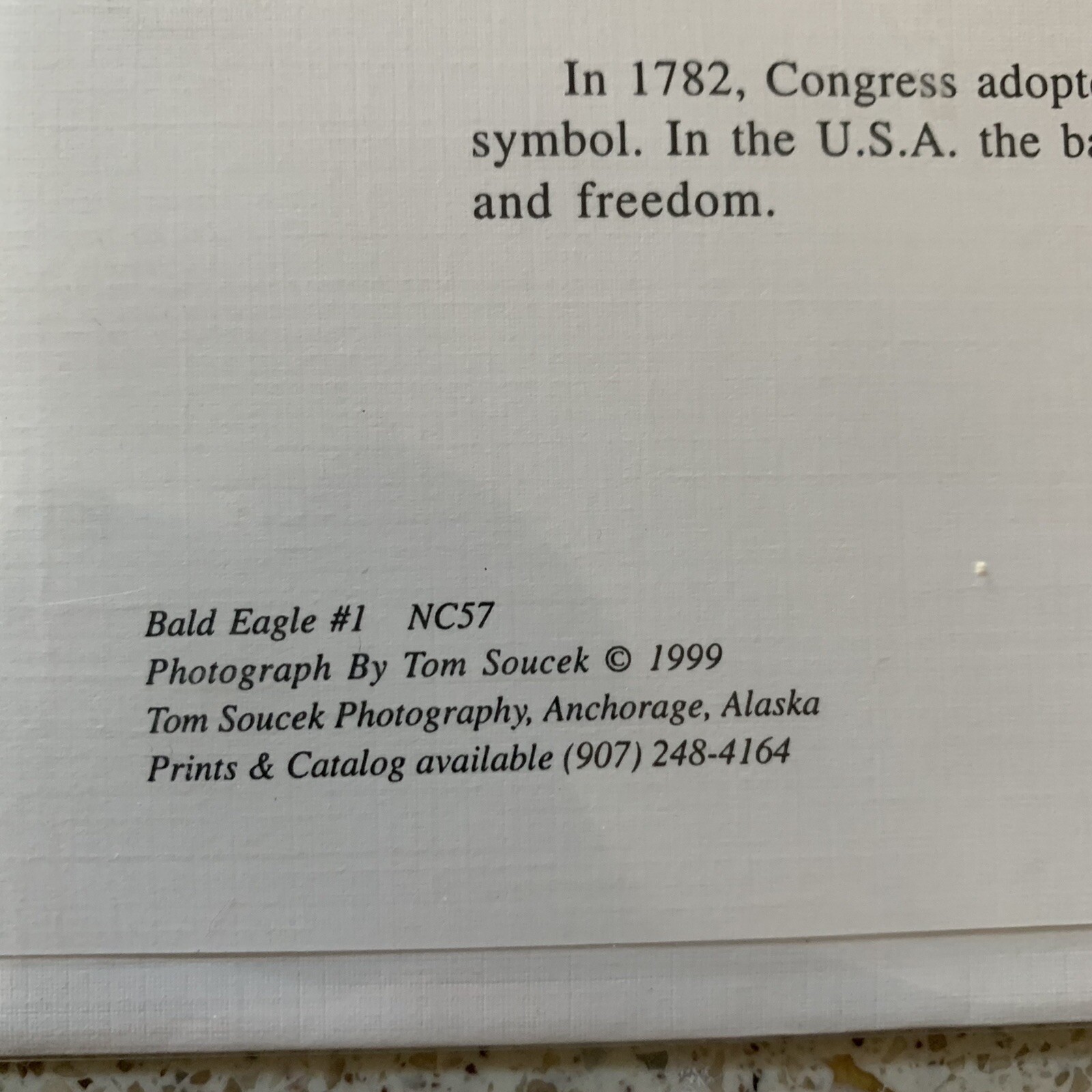 Photograph Notecard by Tom Soucek Eagle Landing Signed 1999