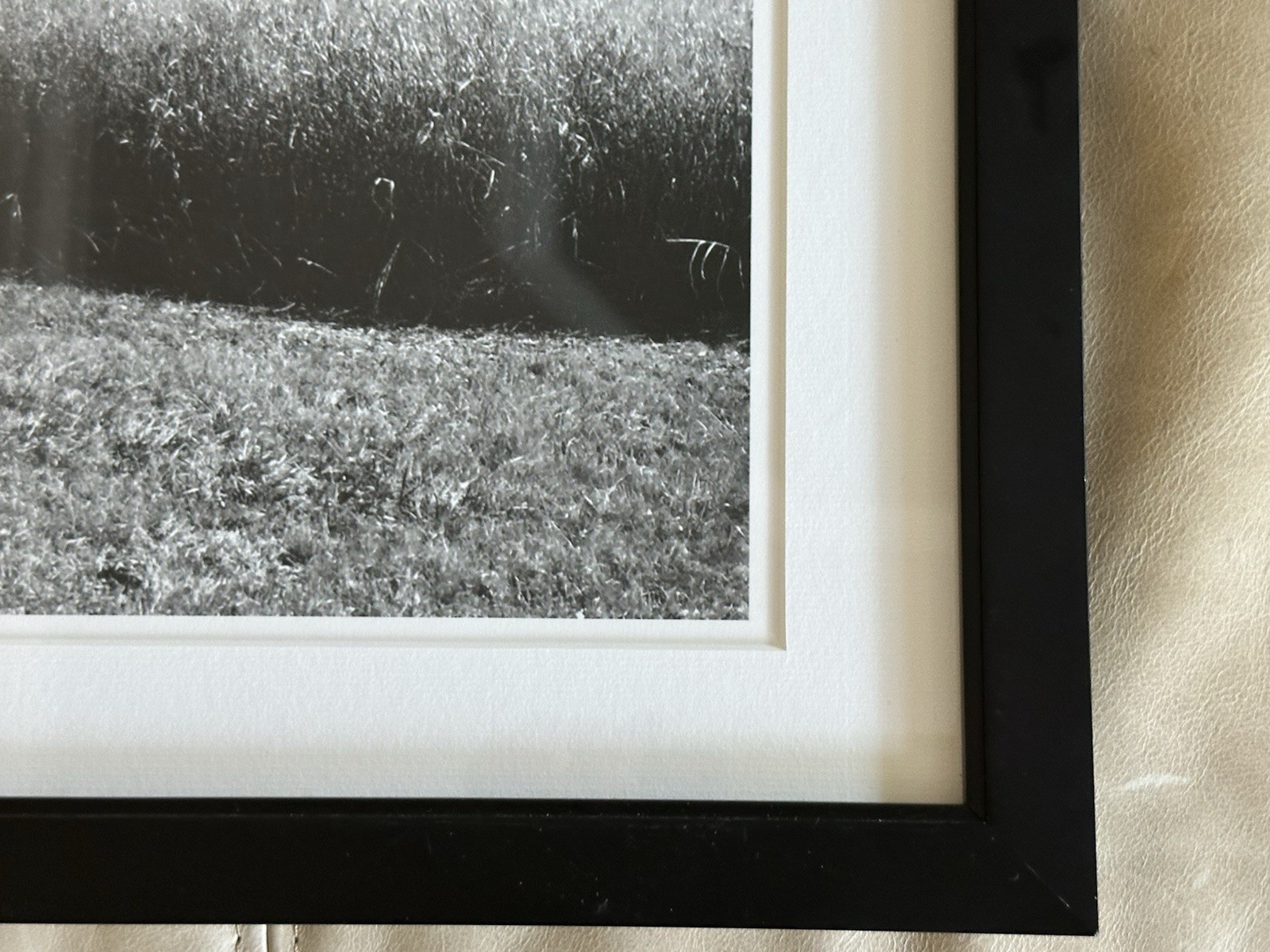 Framed Archival Pigment Photo Print of Farm Field