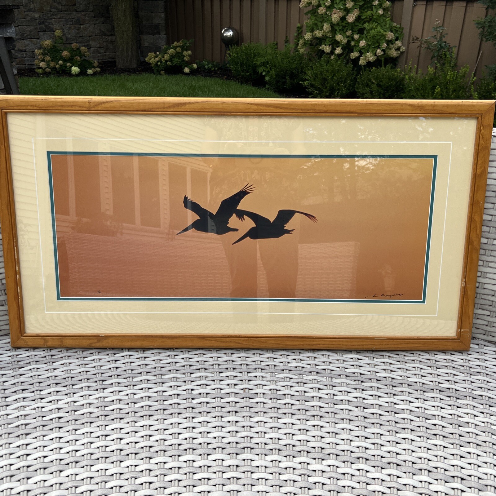 Thomas Mangelsen Signed Art Photo Ltd Pelicans Birds Wings At Dusk Numbered MCM