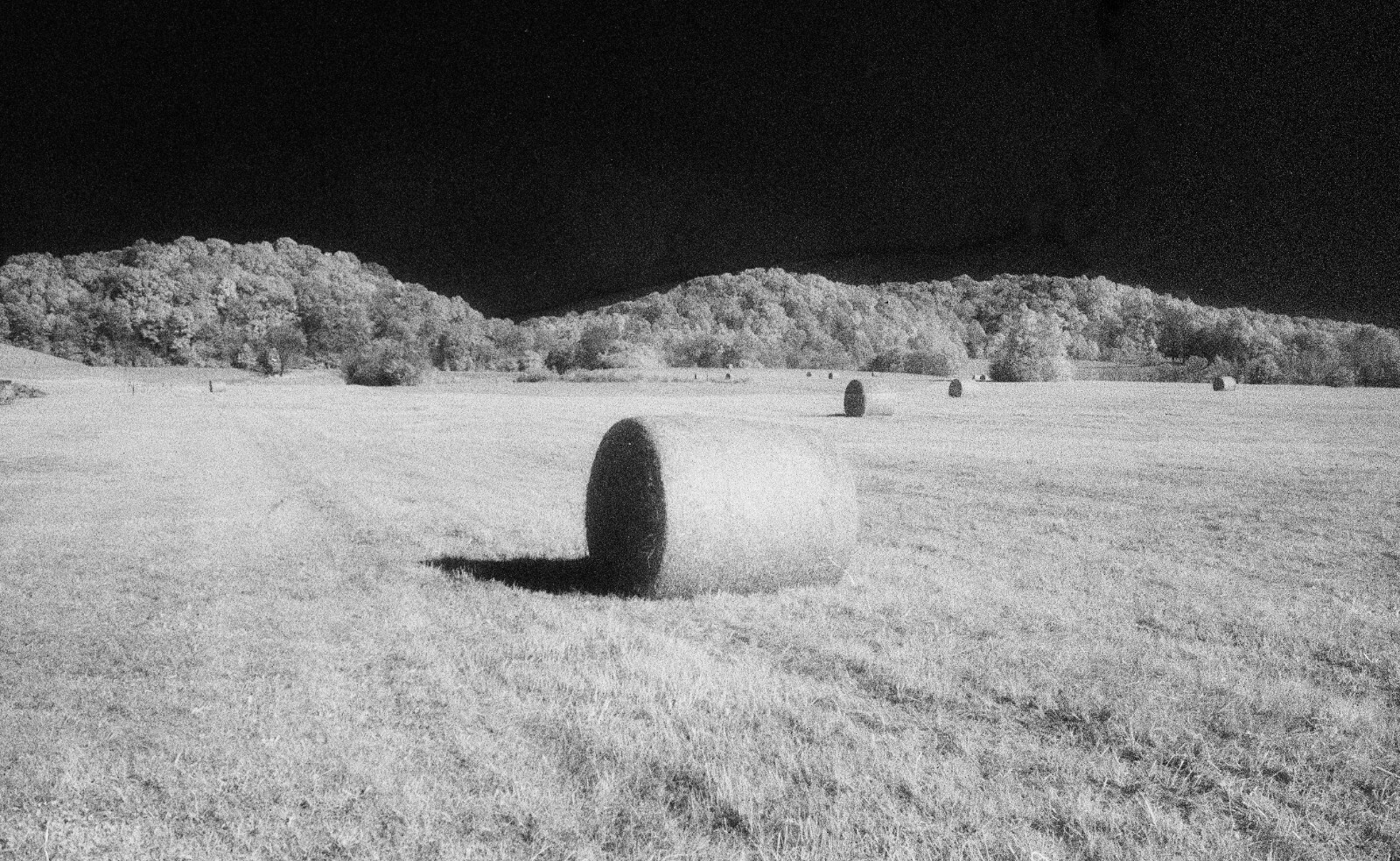 Fine art infrared film print, Rural Tennessee, 12″x19″ glossy paper, unmounted
